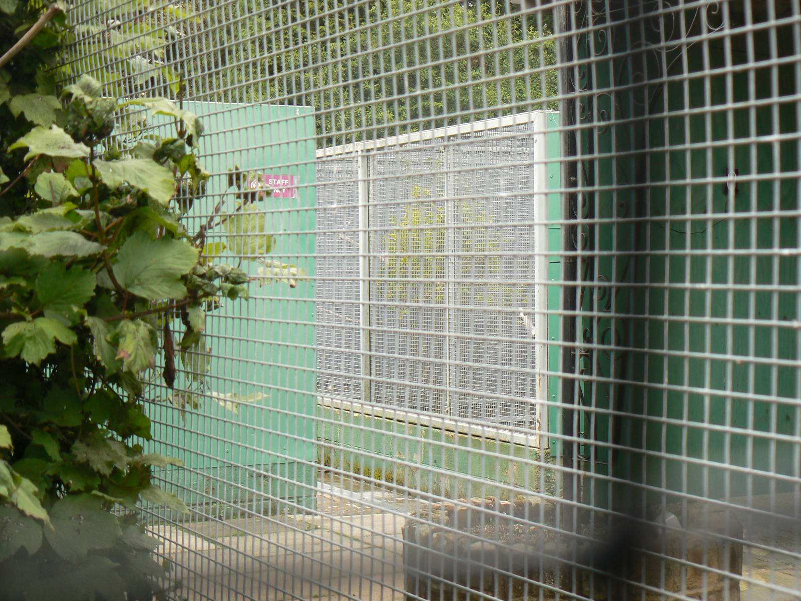 View Of Off-show Aviaries