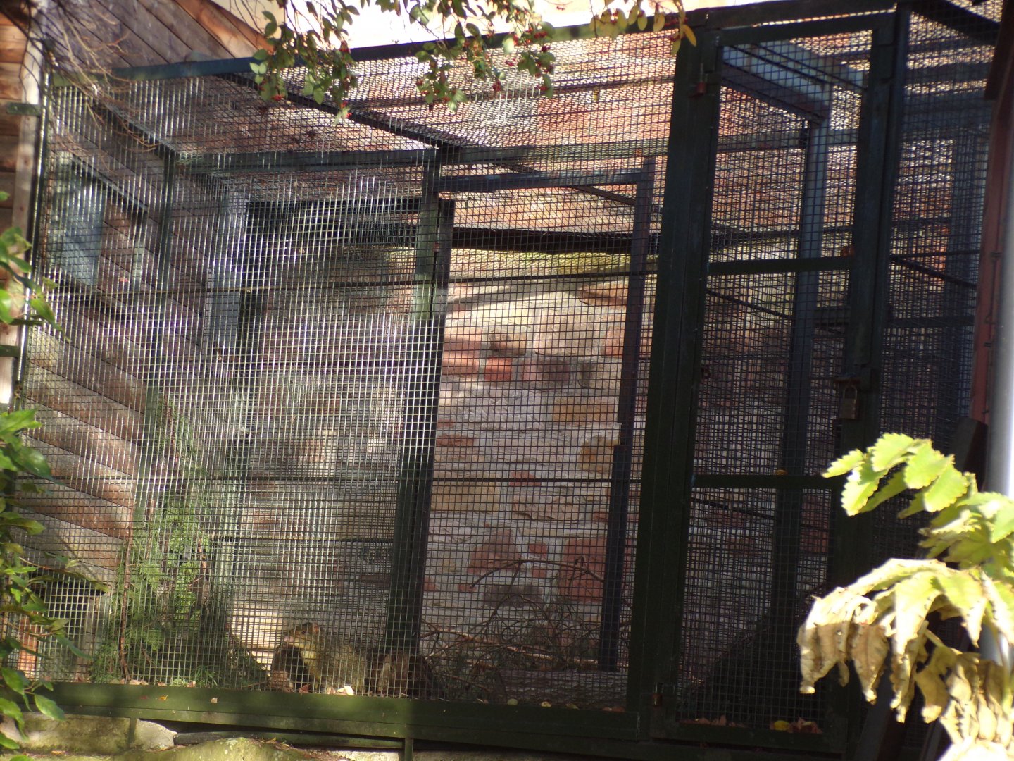 View of off-show cage 13.1.24