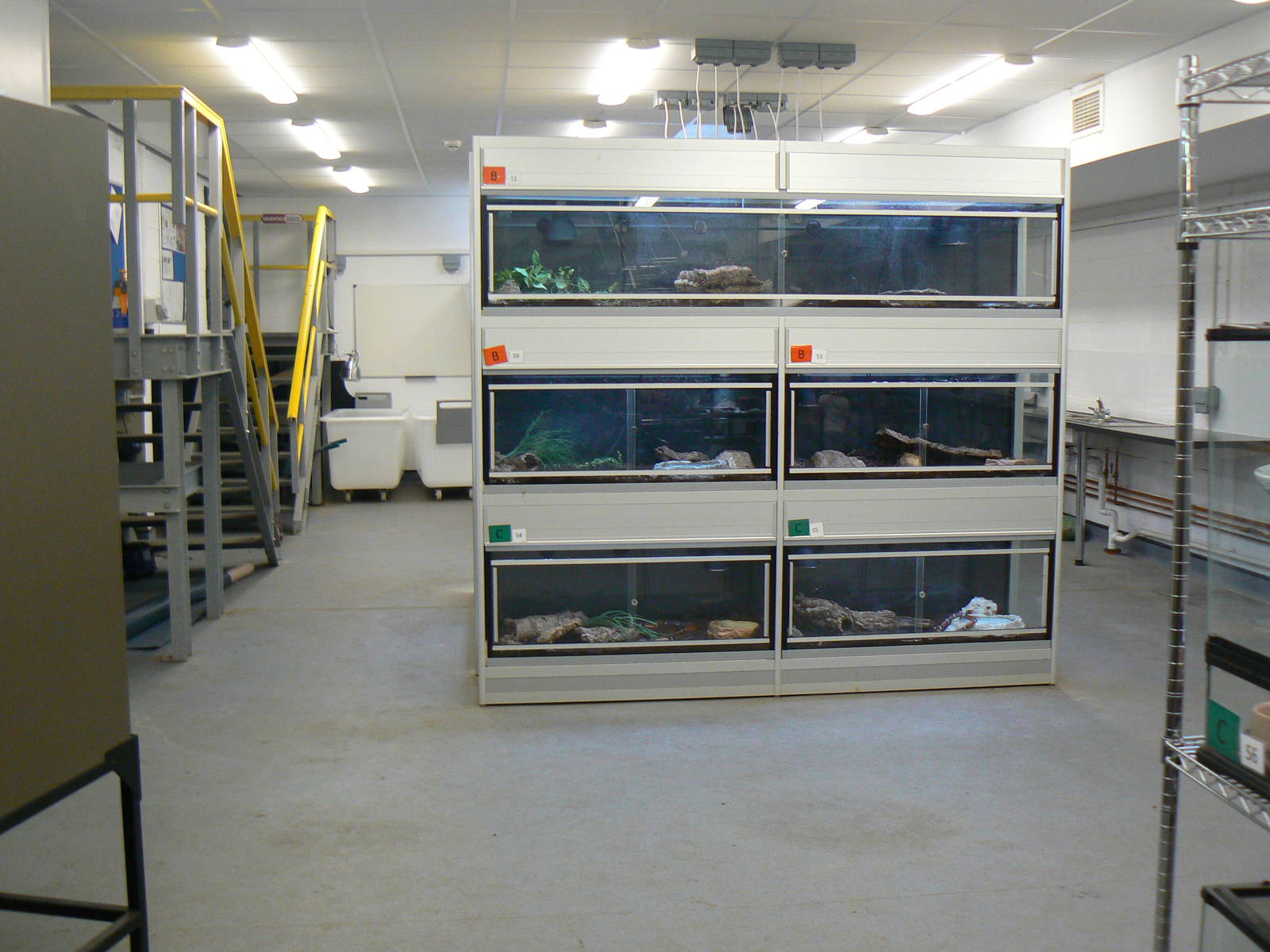 View of Off-show Reptile Room - 29 August 2016, Askham Bryan Wildlife and C