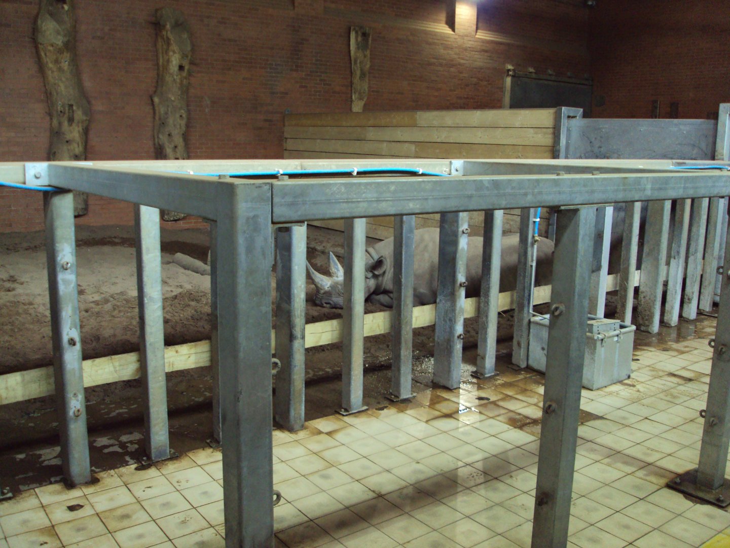 View of old Elephant house now housing Black Rhino 02/06/2019