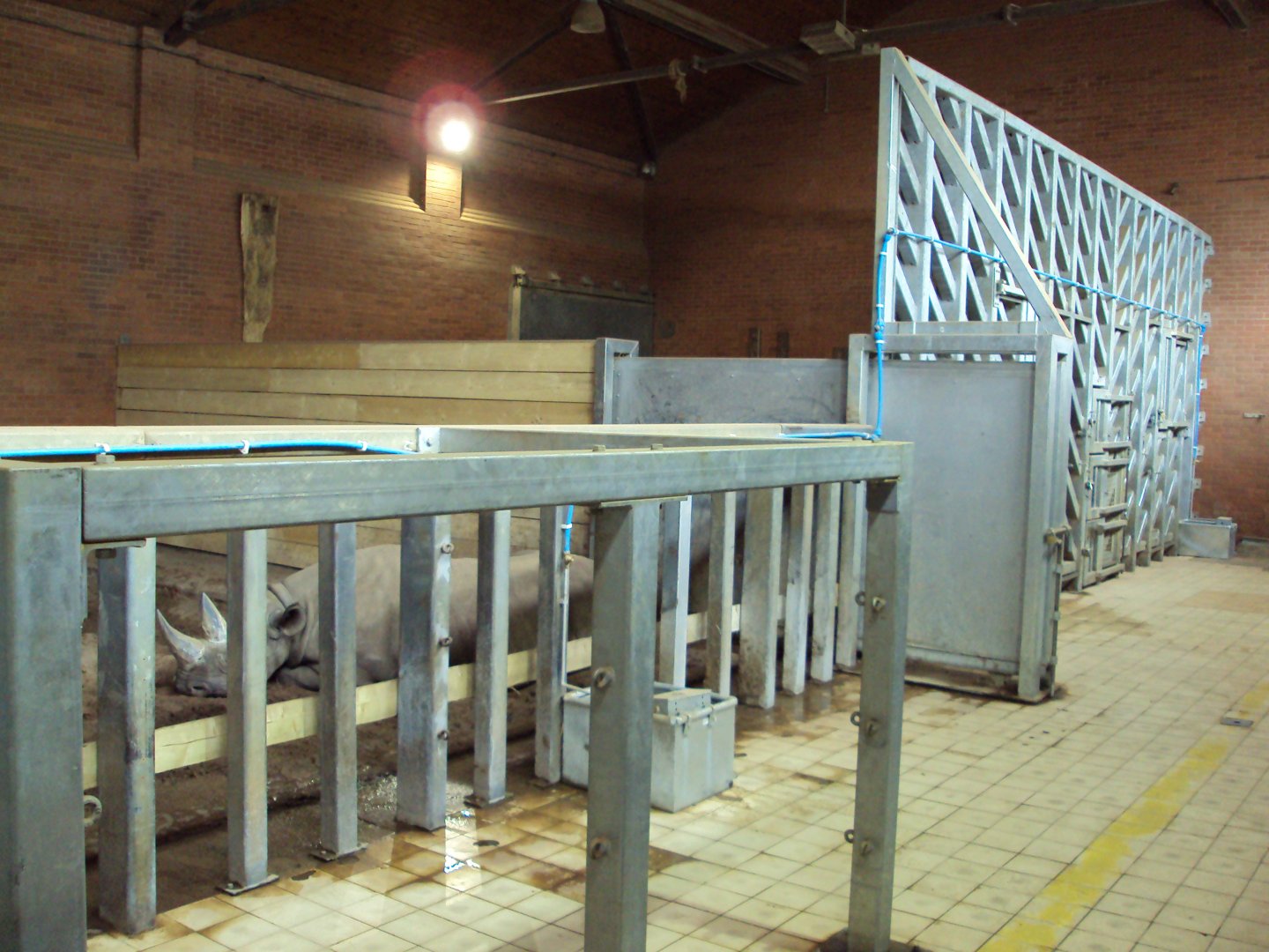 View of old Elephant house now housing Black Rhino 02/06/2019