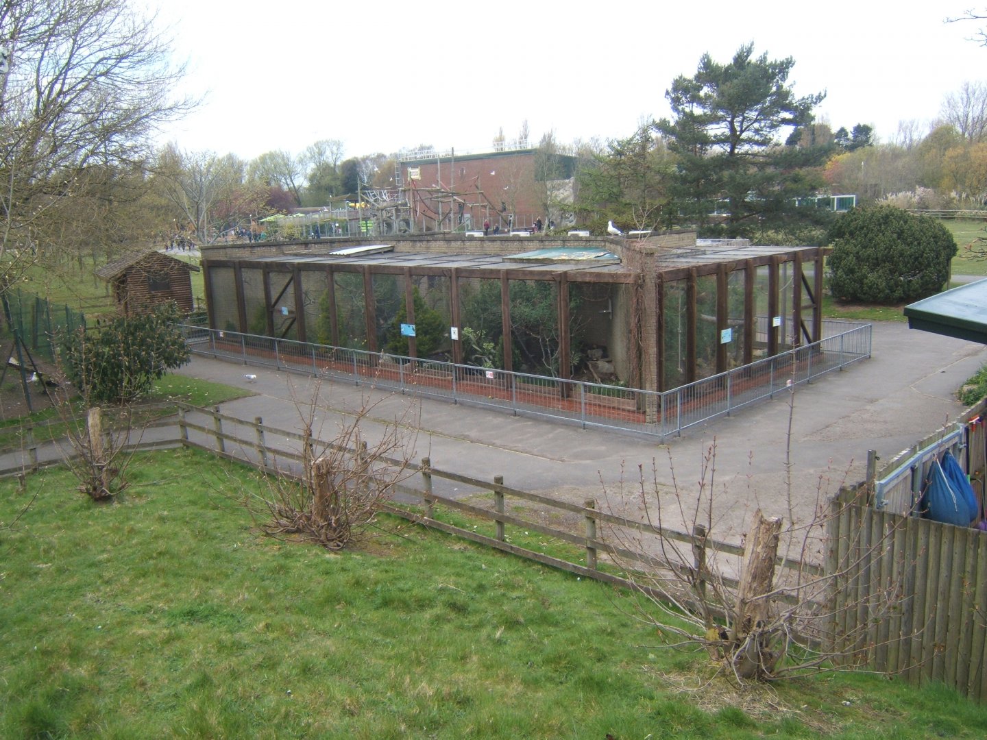 View of old Tree Kangaroo House 14/04/2019