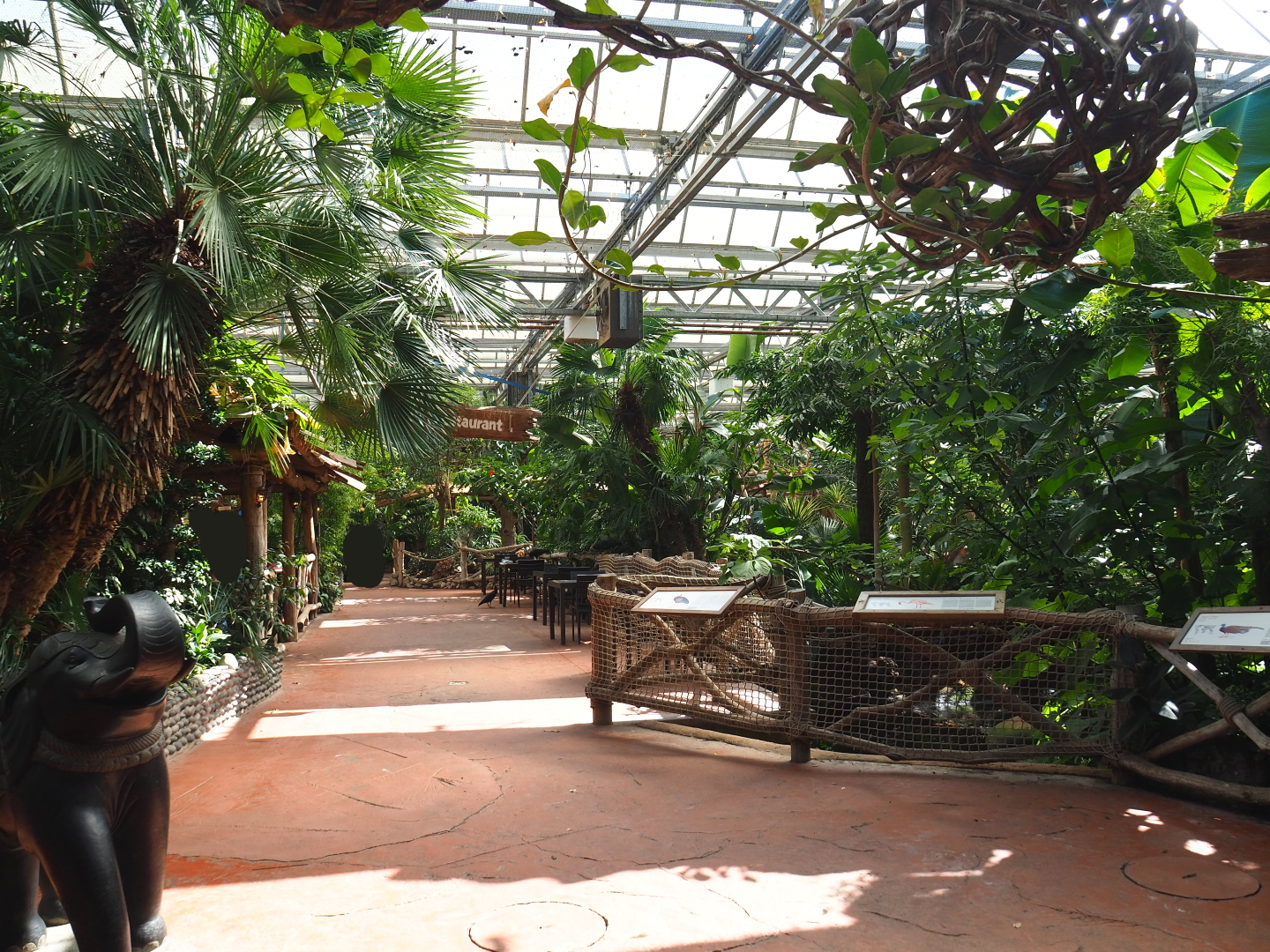 View of one of the main pathways in the Oasis, 2021-09-03