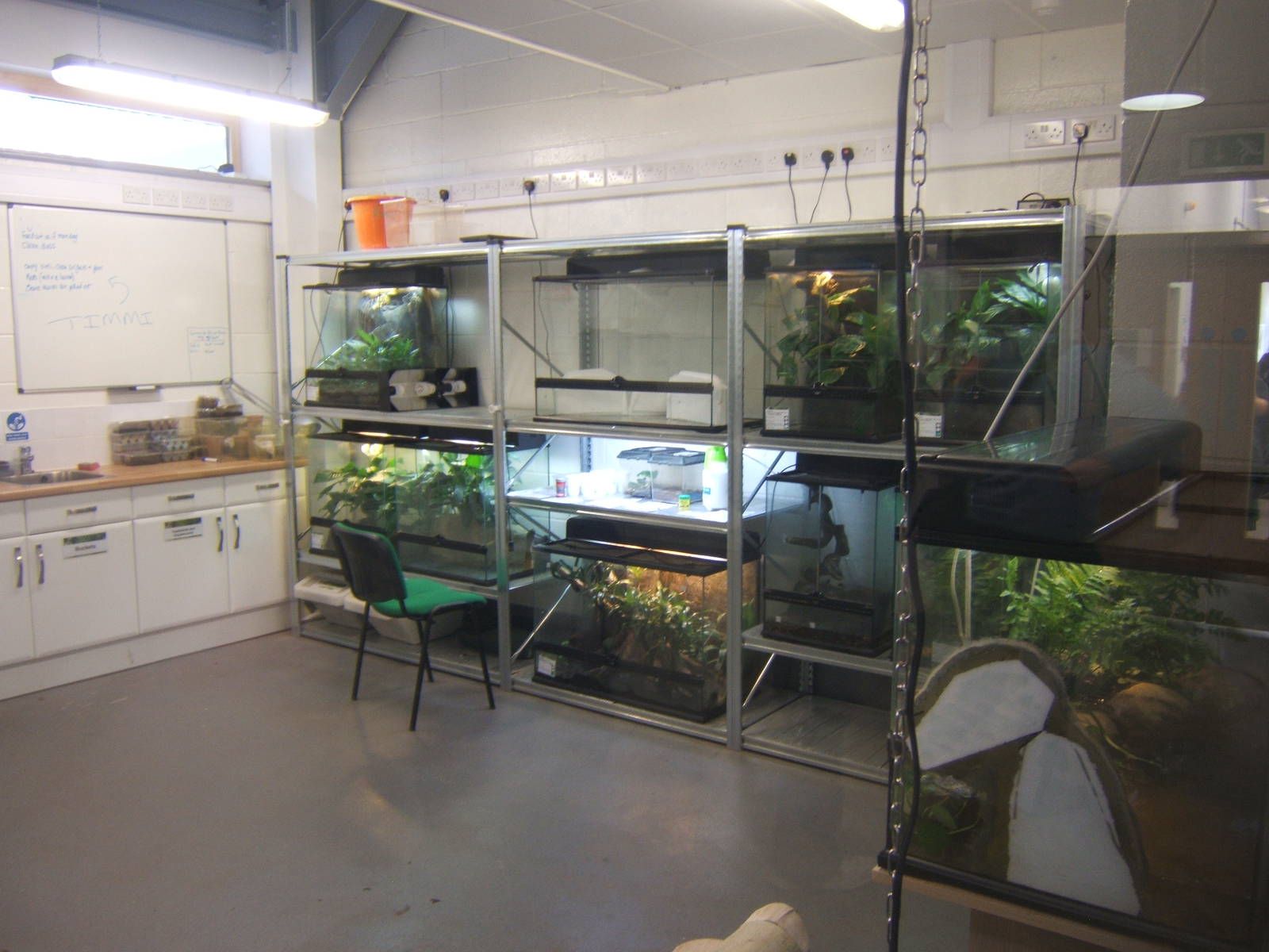 View of one of the new Amphibian Rooms