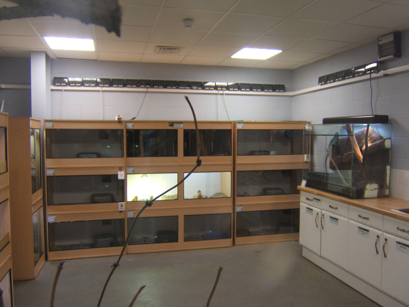 View of one of the new Reptile Rooms