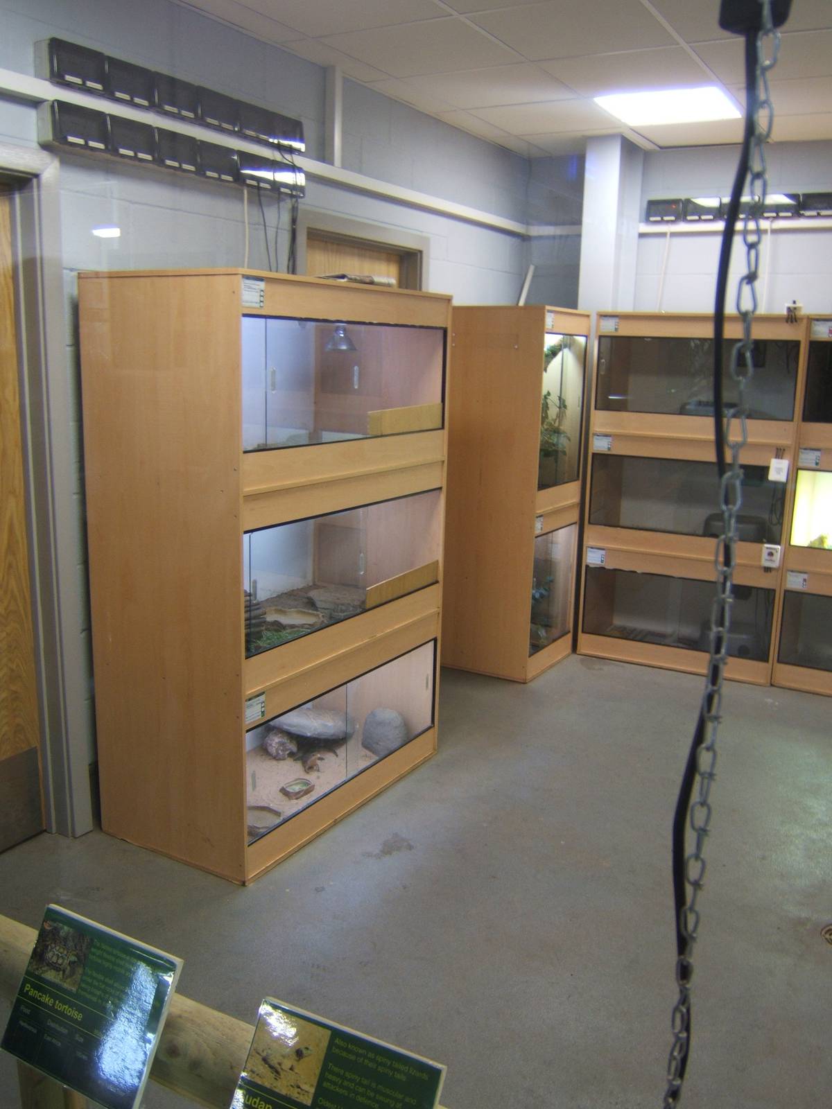 View of one of the new Reptile Rooms