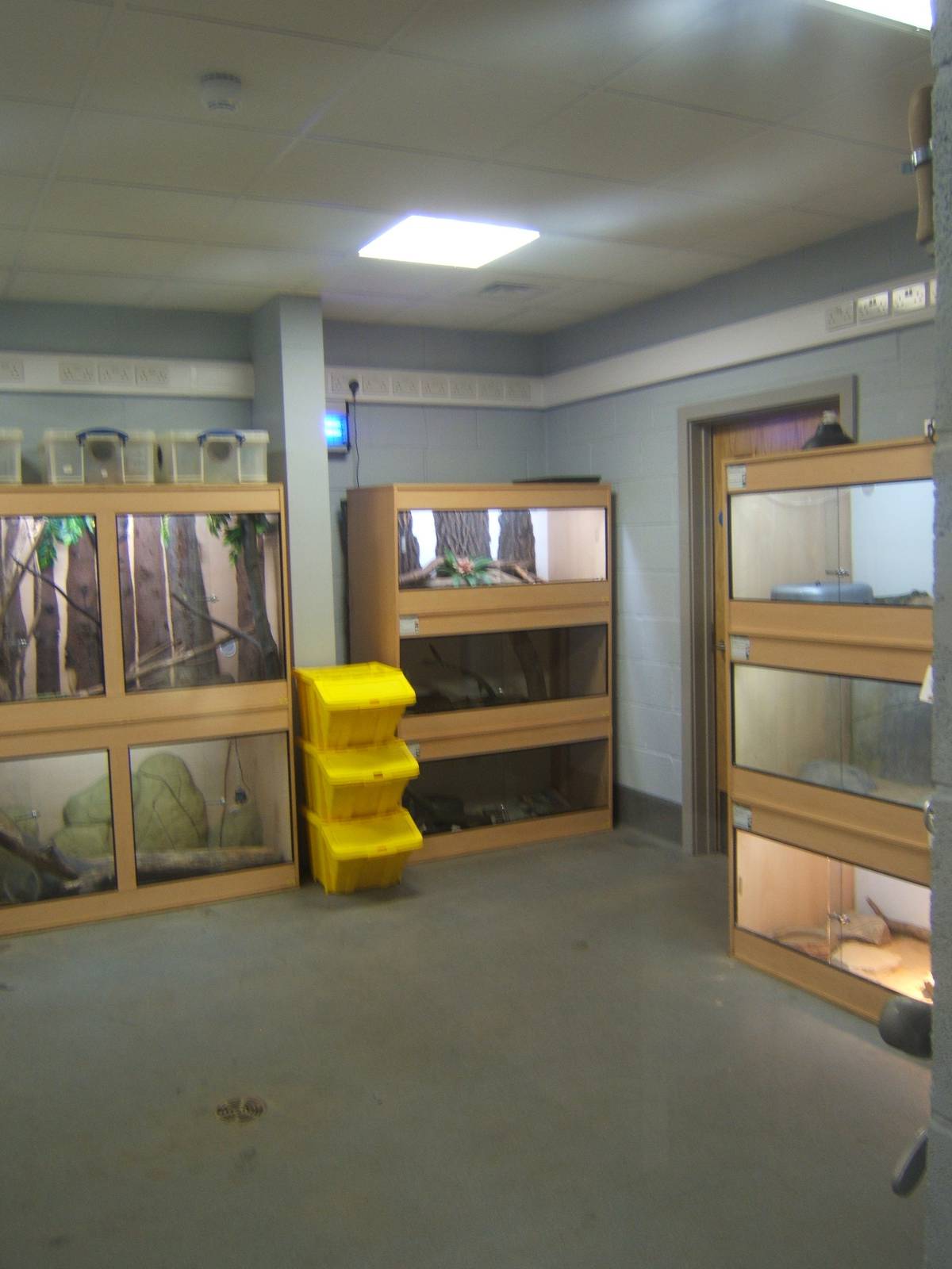 View of one of the new Reptile Rooms