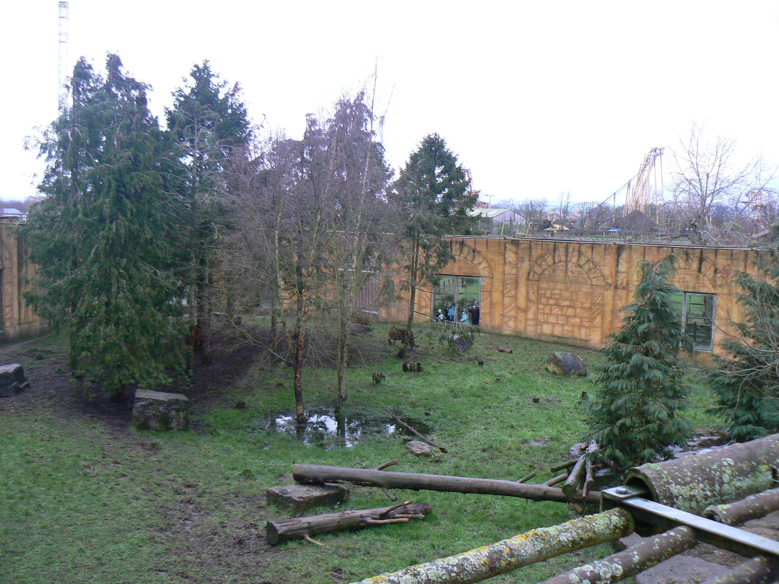 View of one of the Sumatran Tiger Enclosures - 24 January 2016
