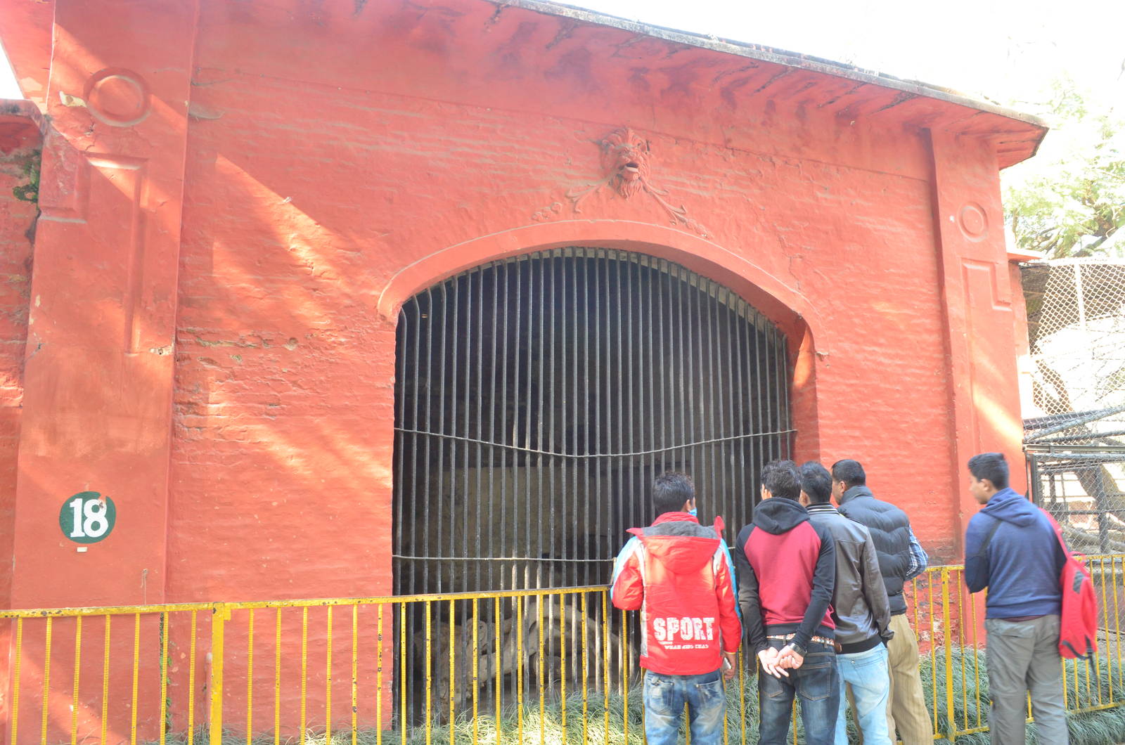 View of one of the tiger enclosures