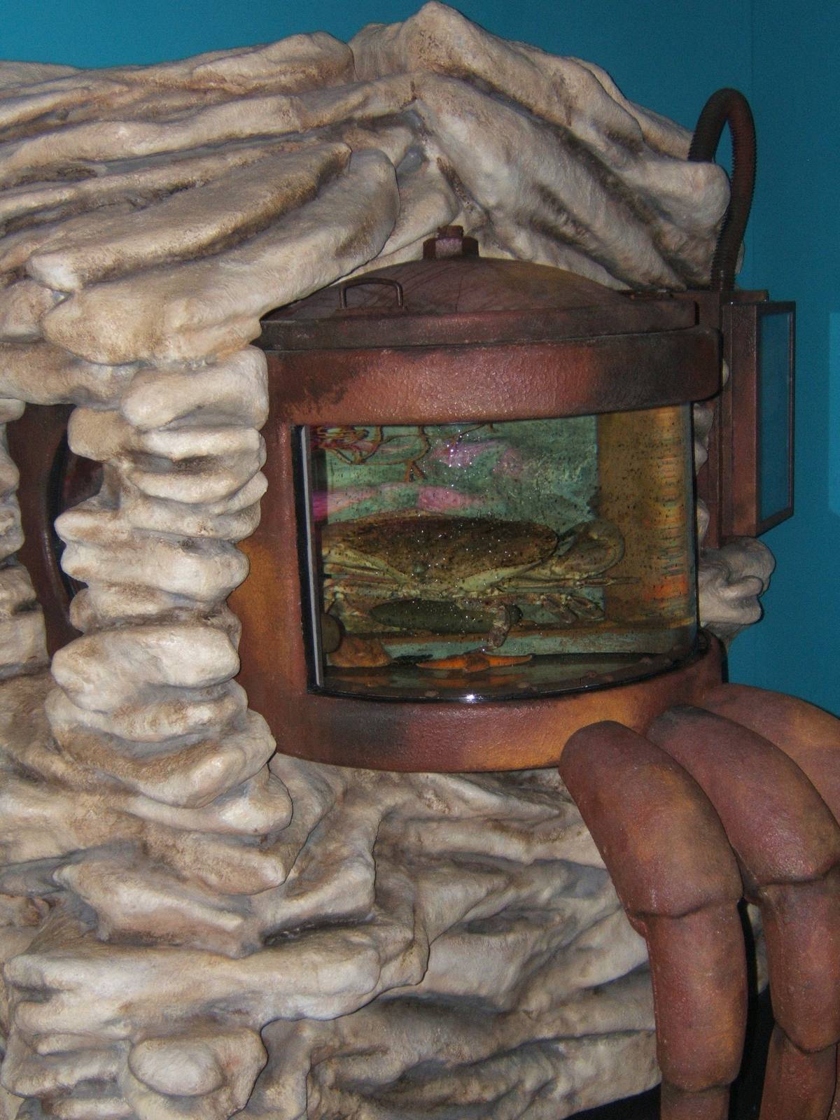 View of one the exhibits in  claws