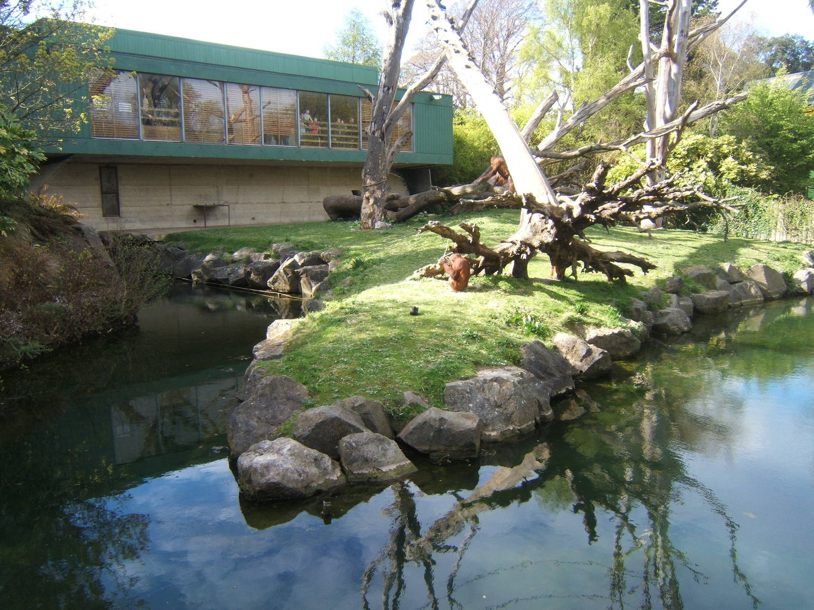 View of Orang Island