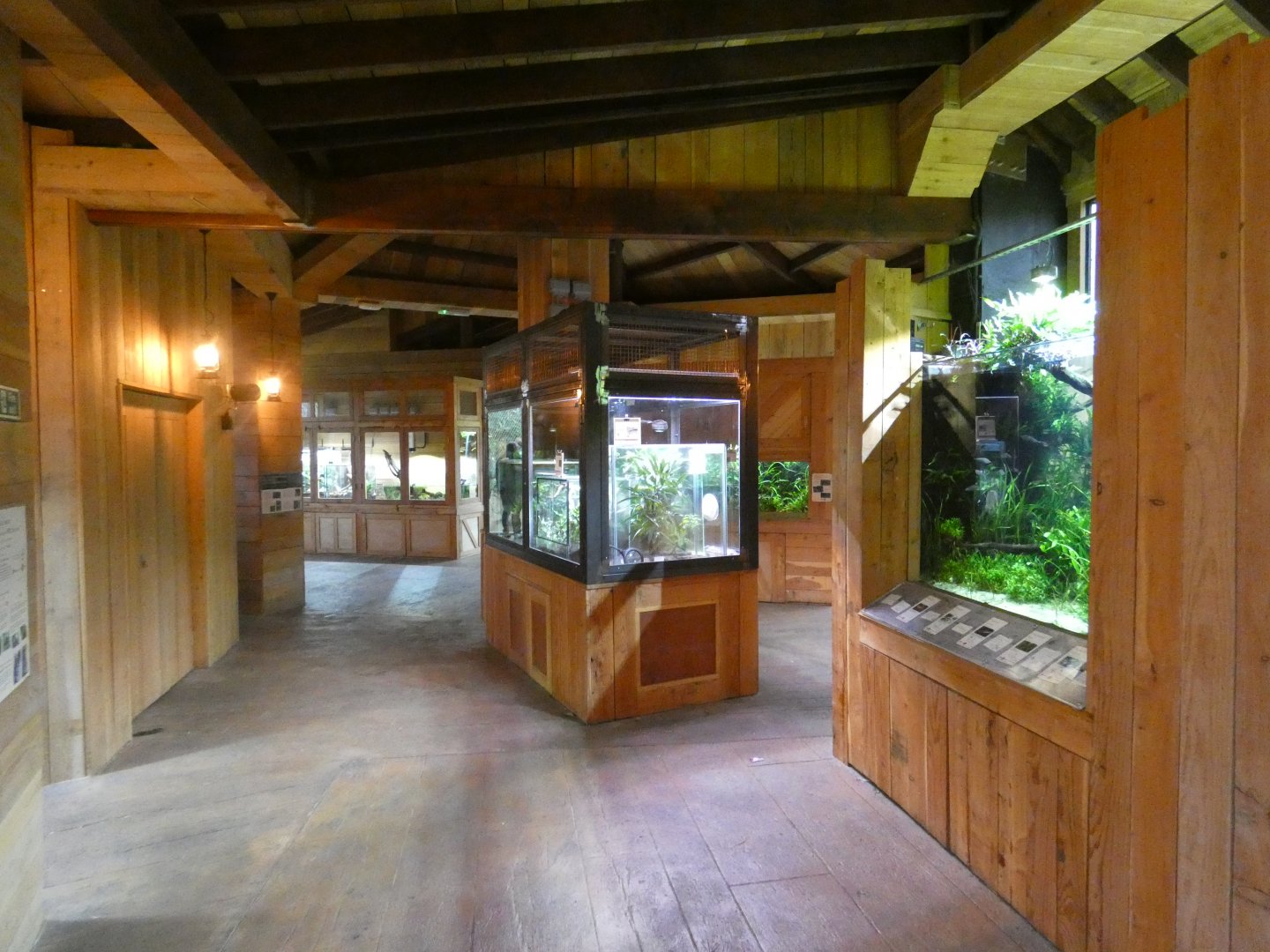 View of Orang-utan viewing area in Monsoon Forest