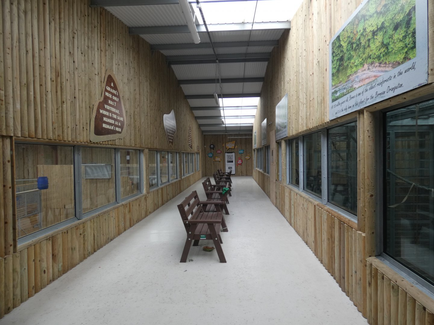 View of Orangutan and Giraffe house