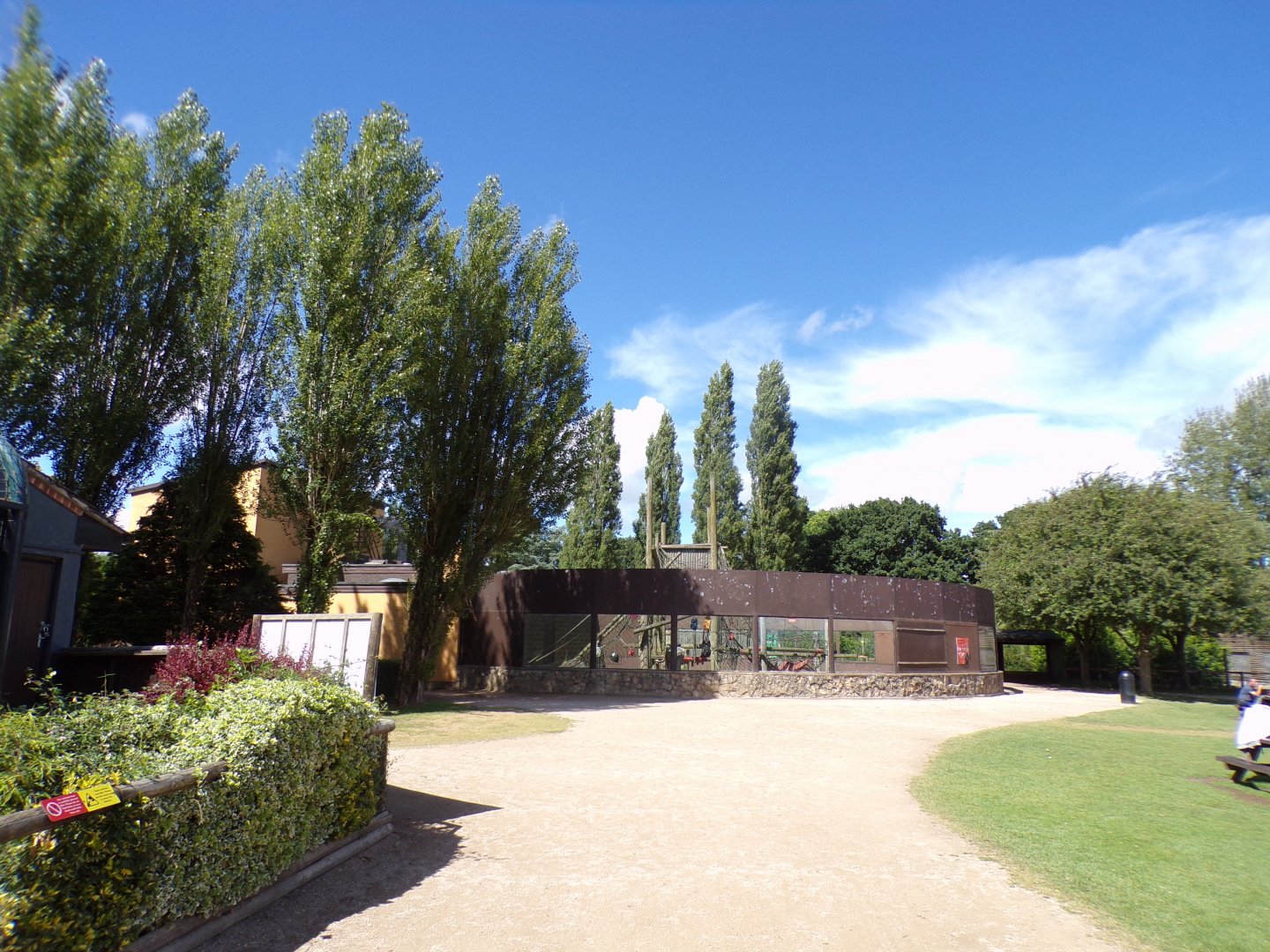 View of orangutan enclosure 7.7.24