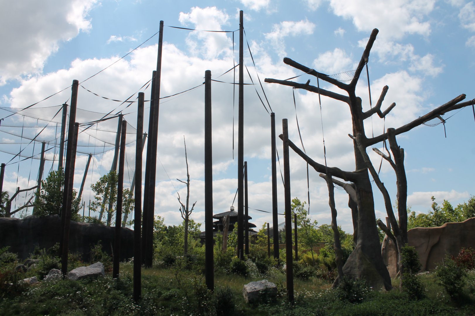 View of Orangutan enclosure