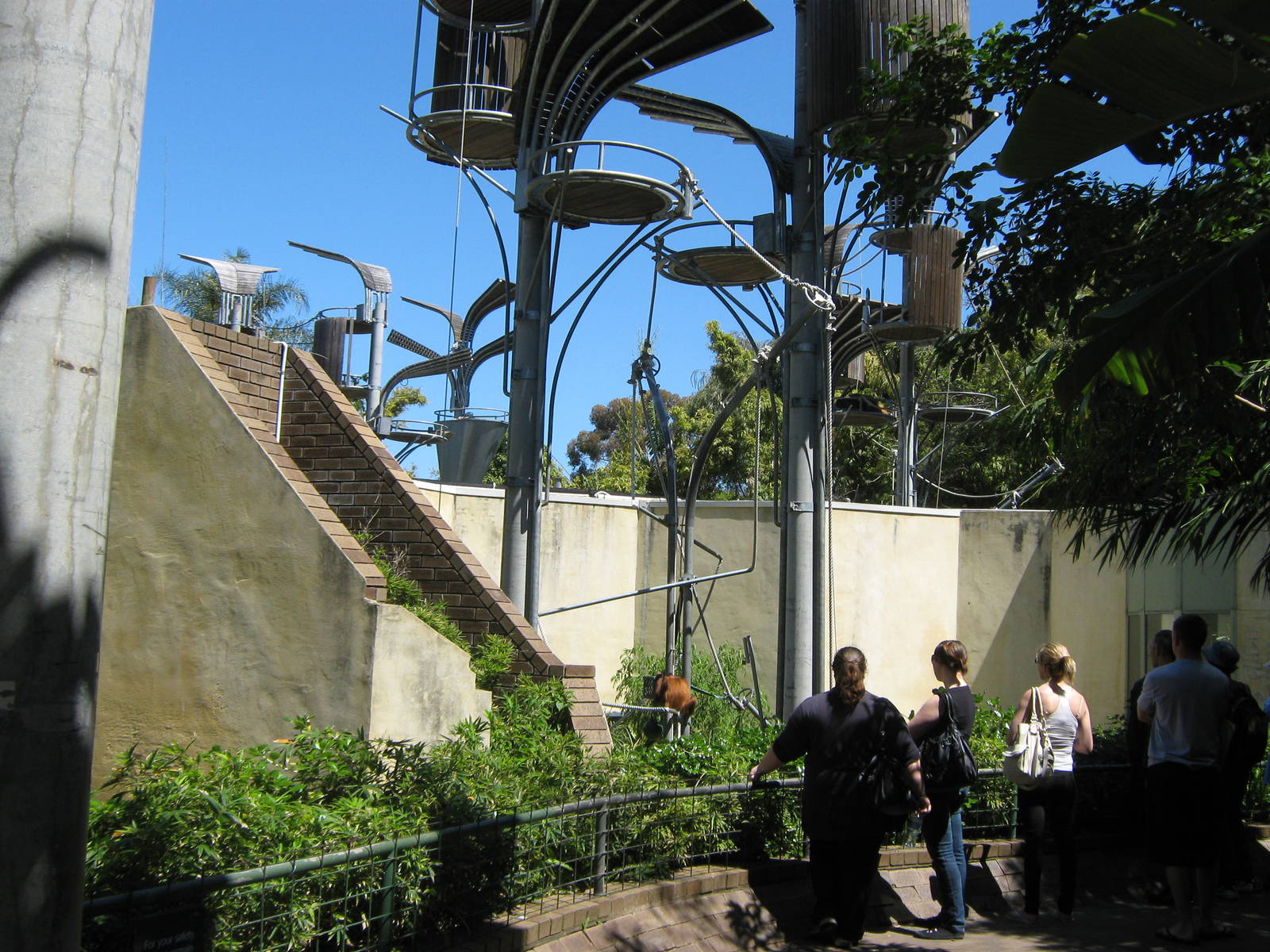 view of orangutan enclosures