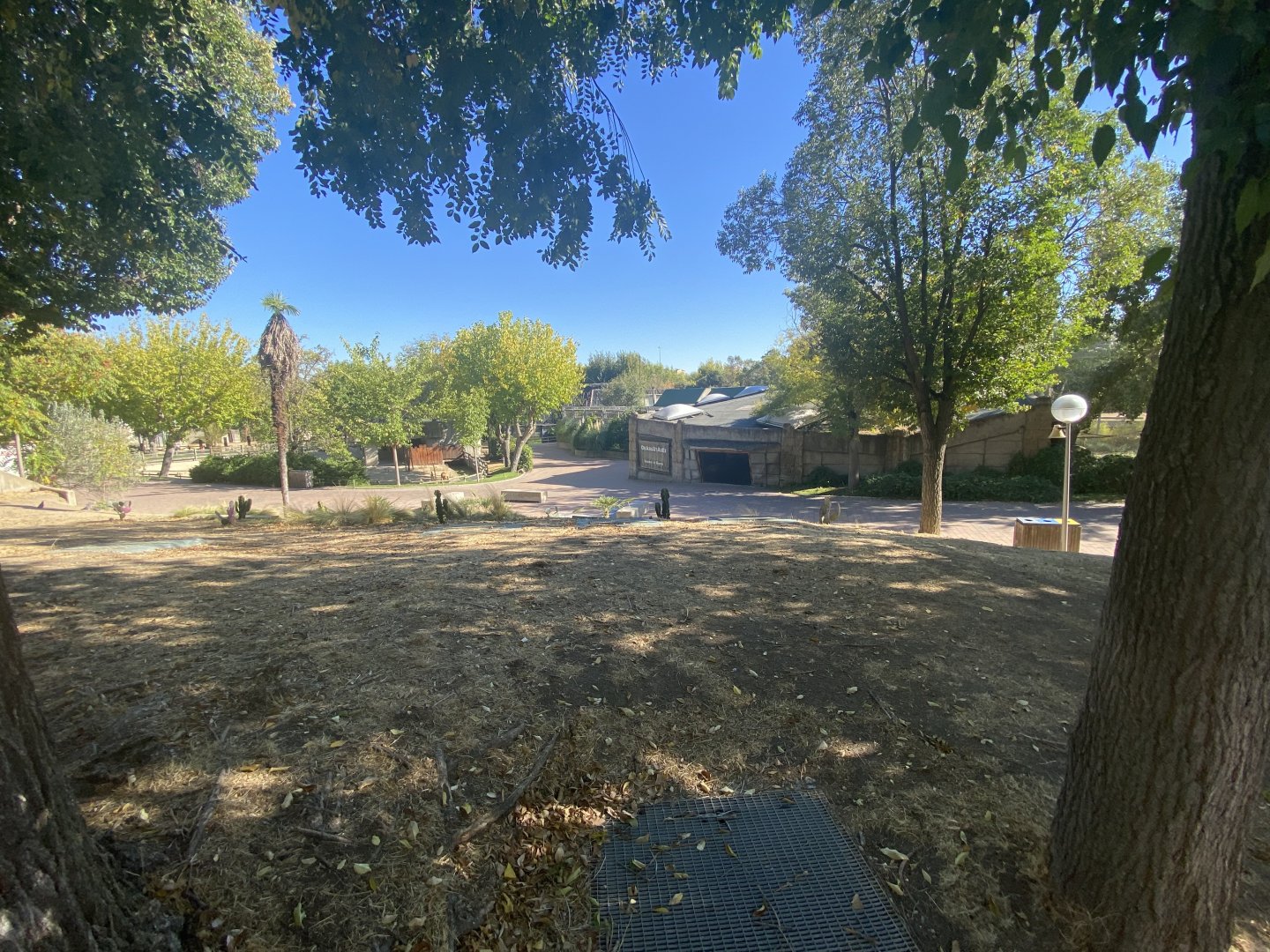 View of orangutan house