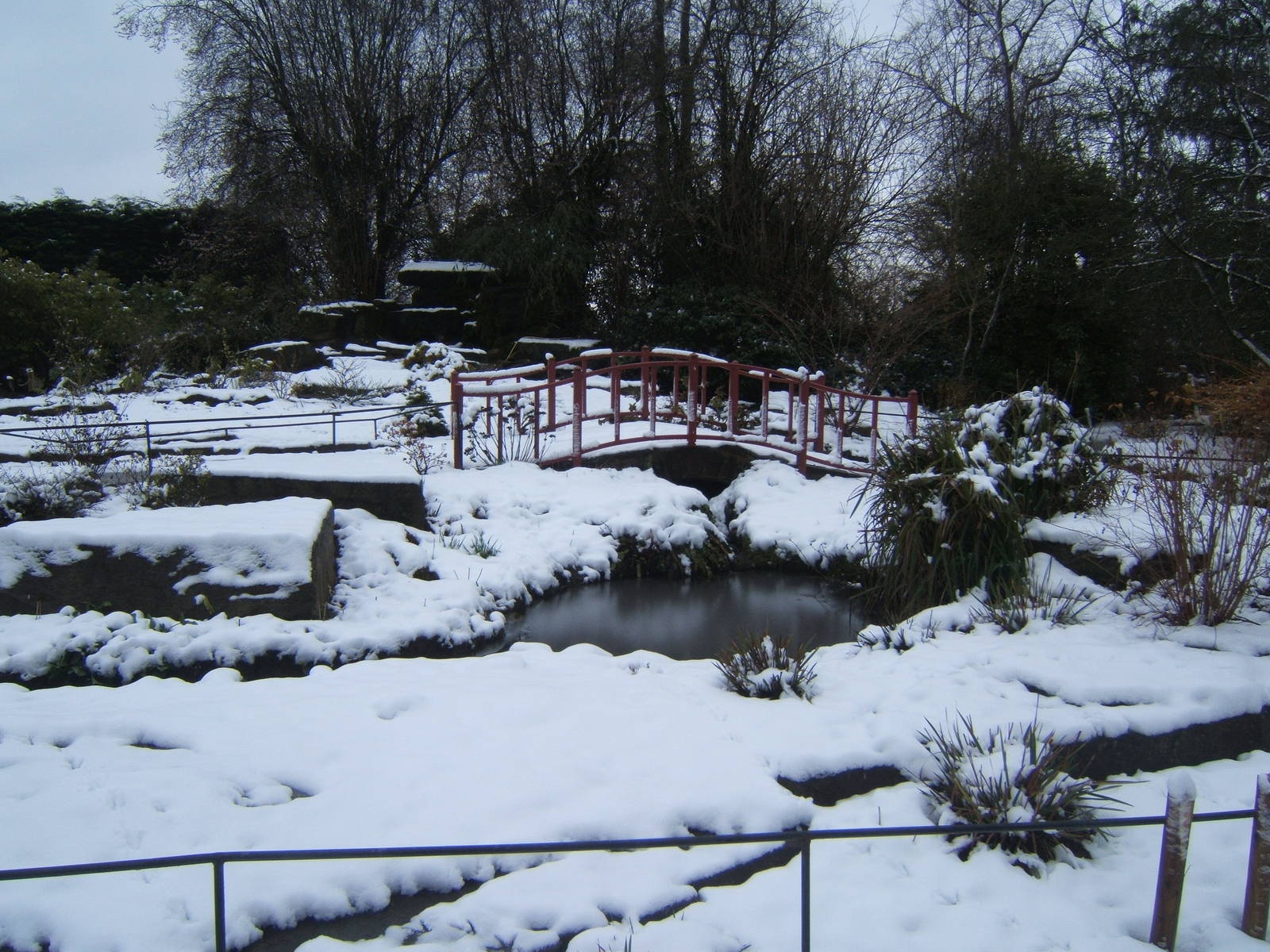 View of Oriental garden
