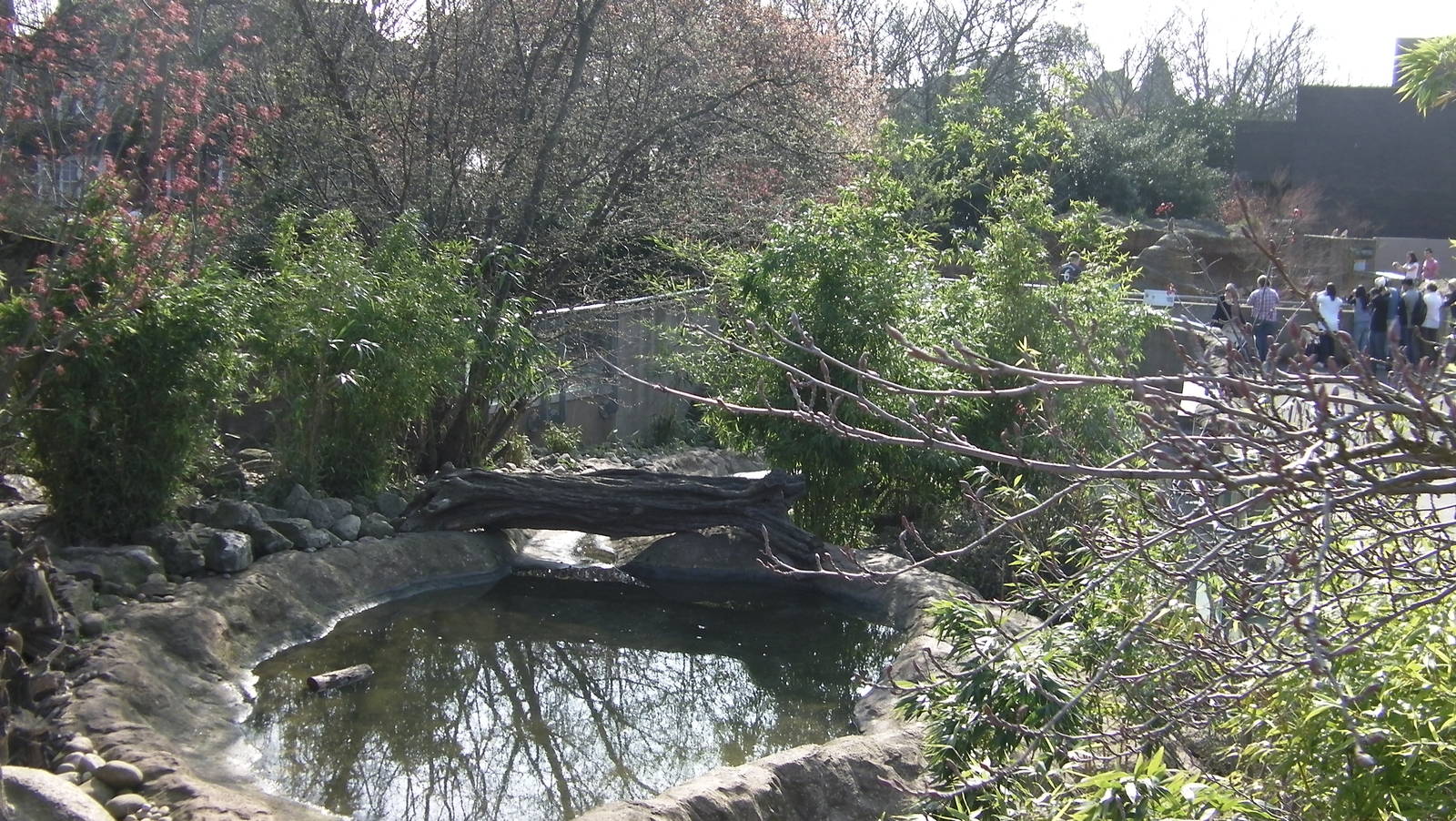 View of Otter Enclosure - 24.03.2012