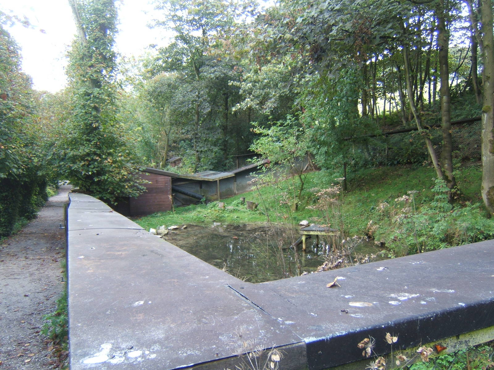 View of Otter enclosure design