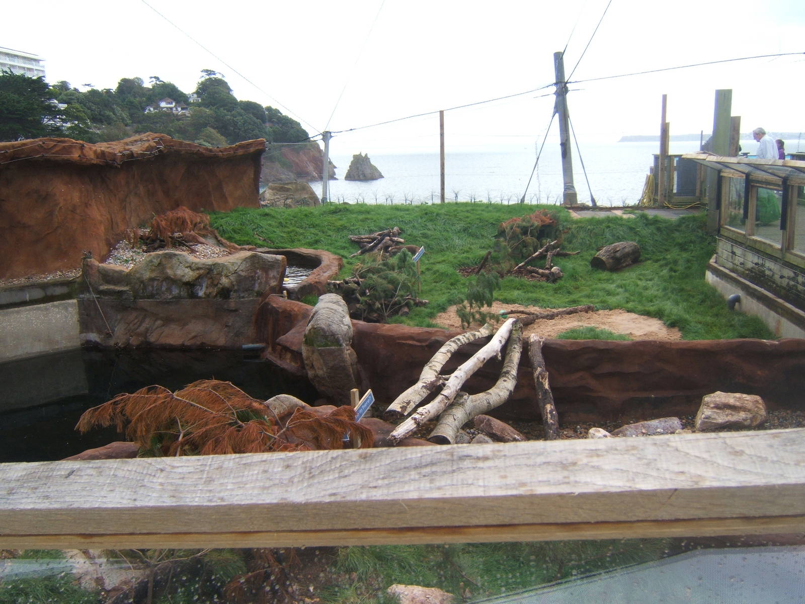 View of Otter enclosure