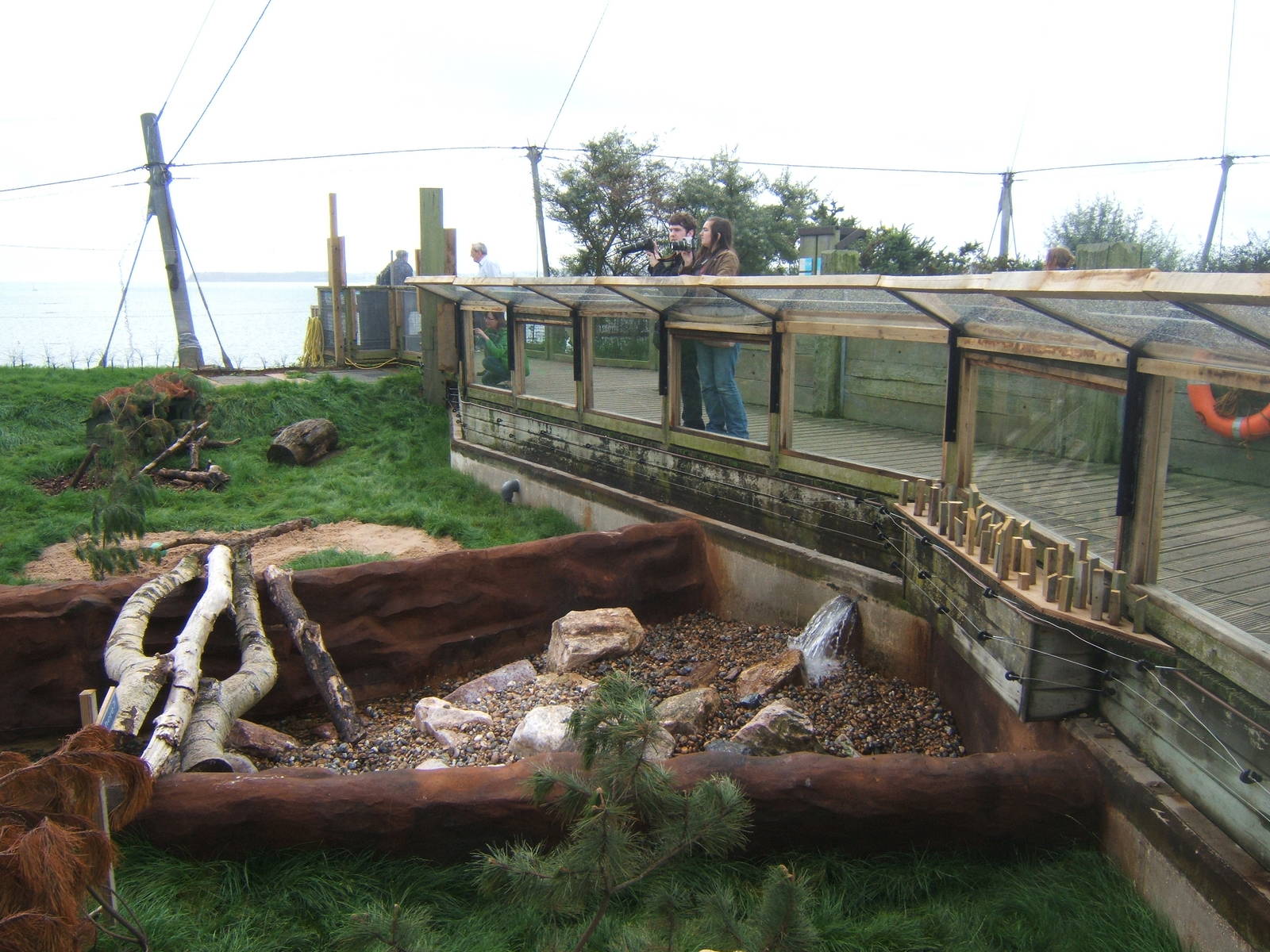 View of Otter enclosure