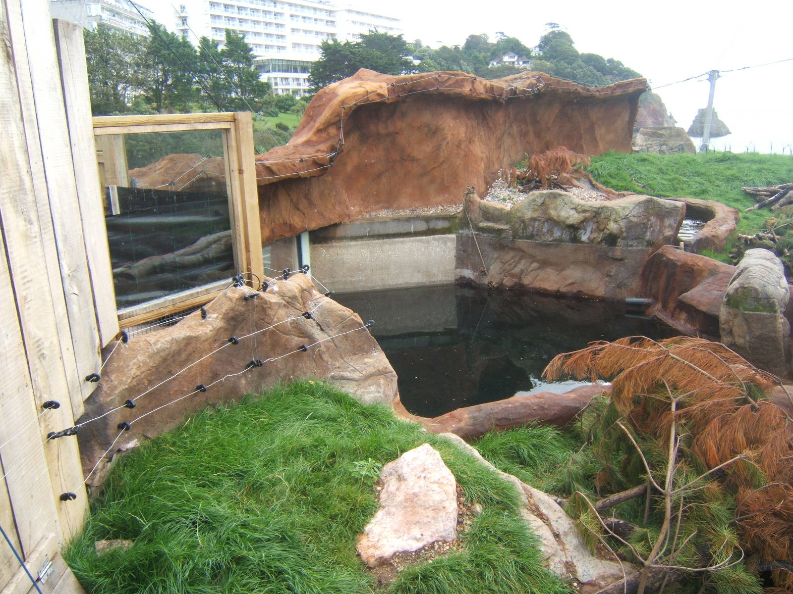 View of Otter enclosure