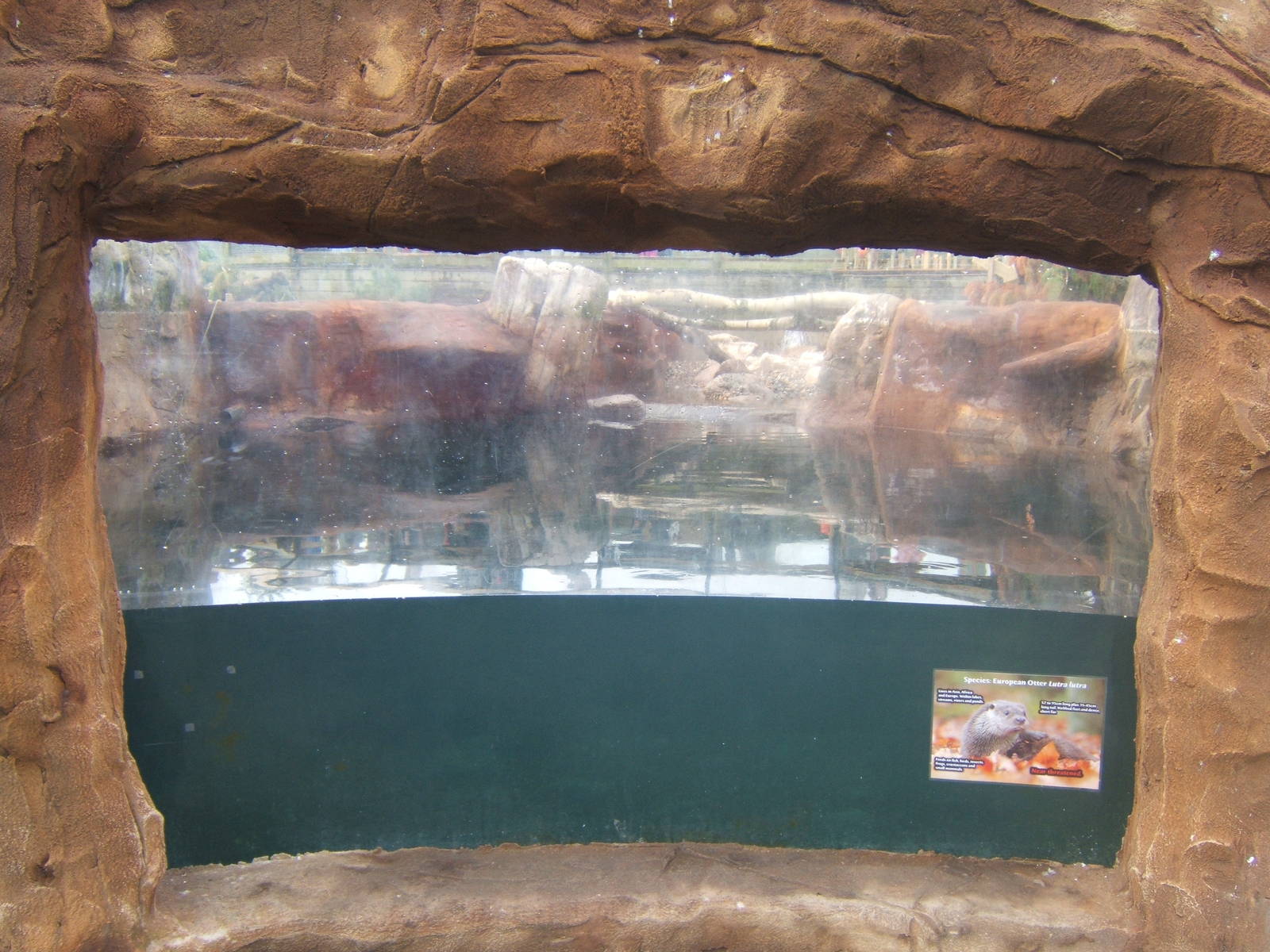 View of Otter enclosure