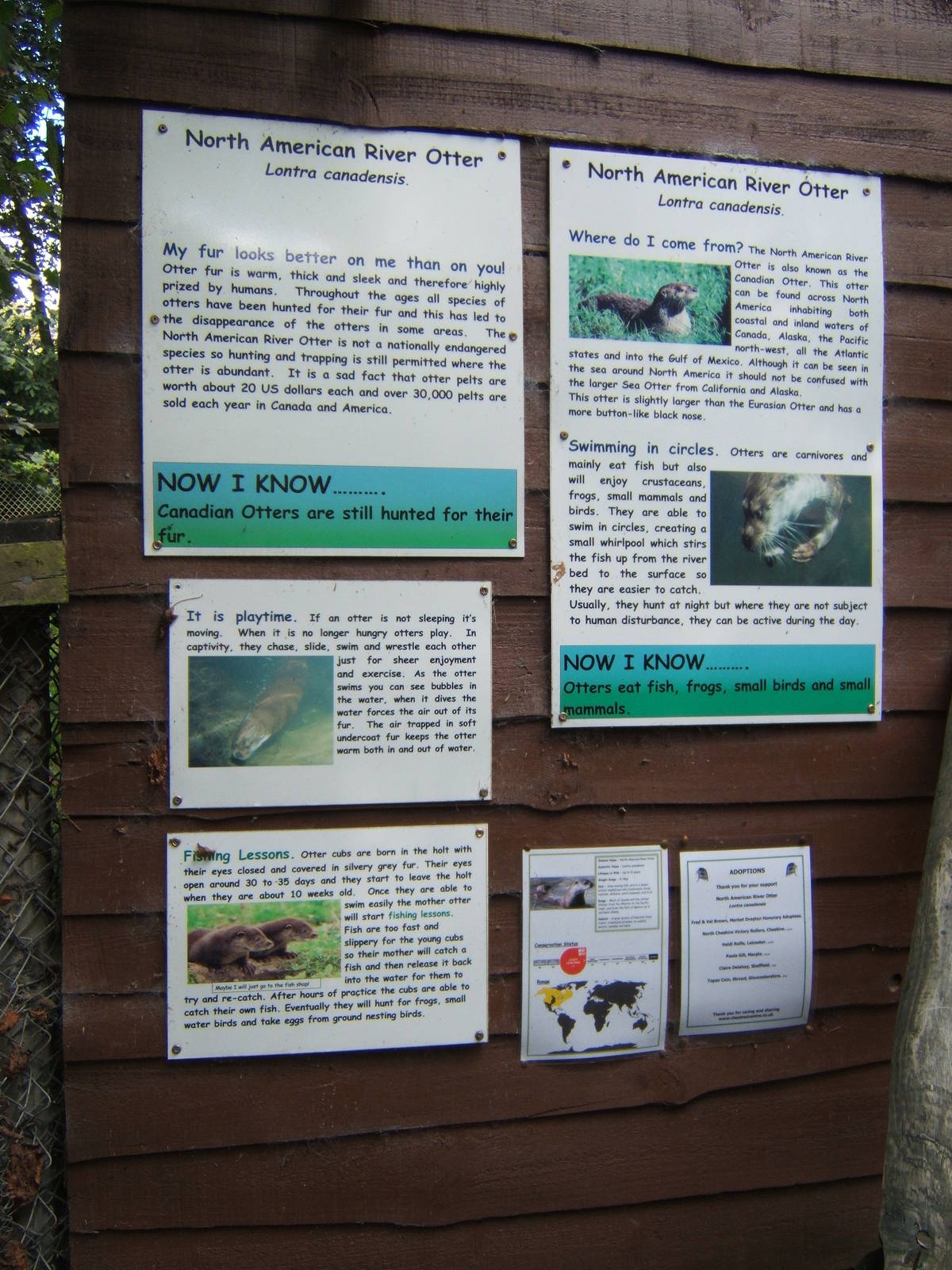 View of Otter signage