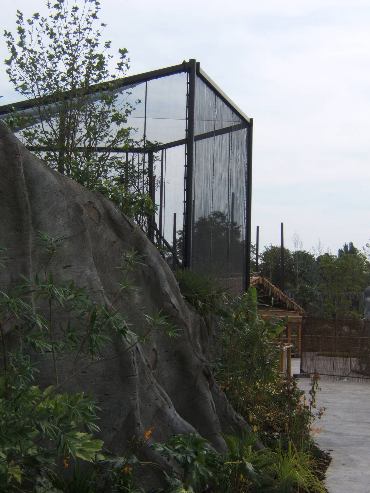 View of out door Rhinoceros Hornbill aviary in Monsoon Forest