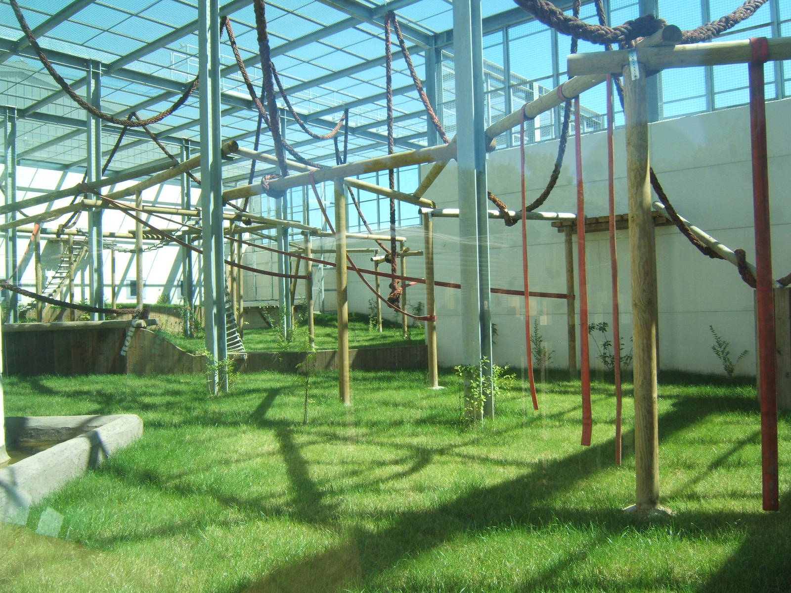 View of outdoor chimp enclosure