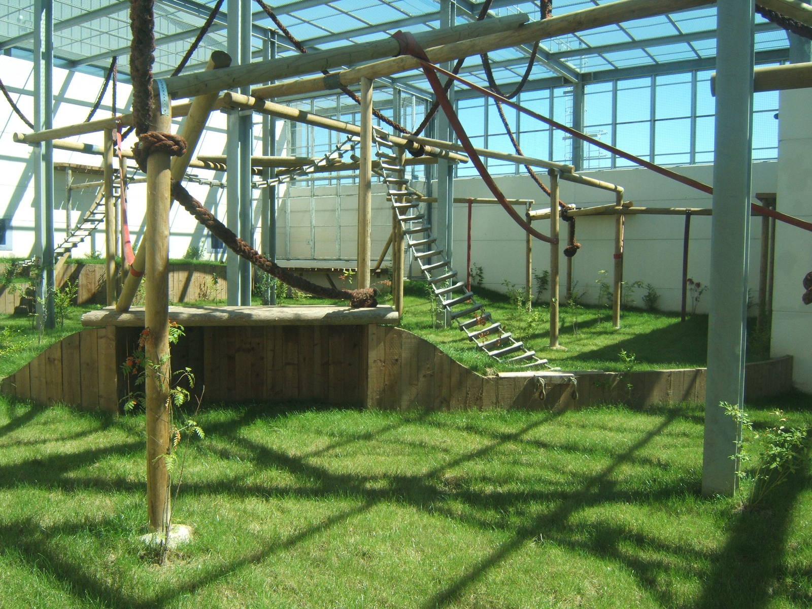 View of outdoor chimp enclosure