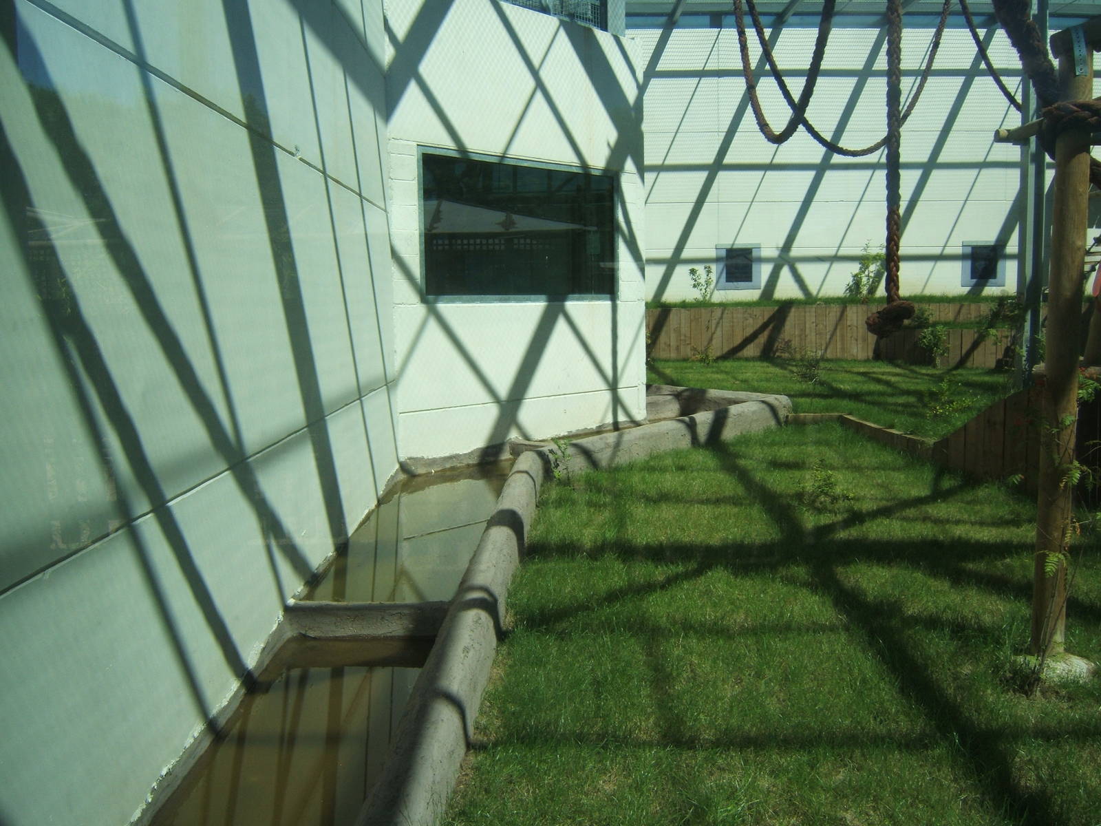 View of outdoor chimp enclosure