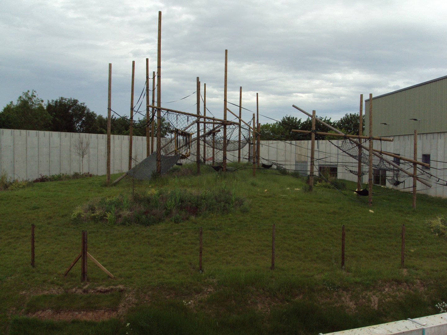 View of outdoor Chimps 02/06/2019