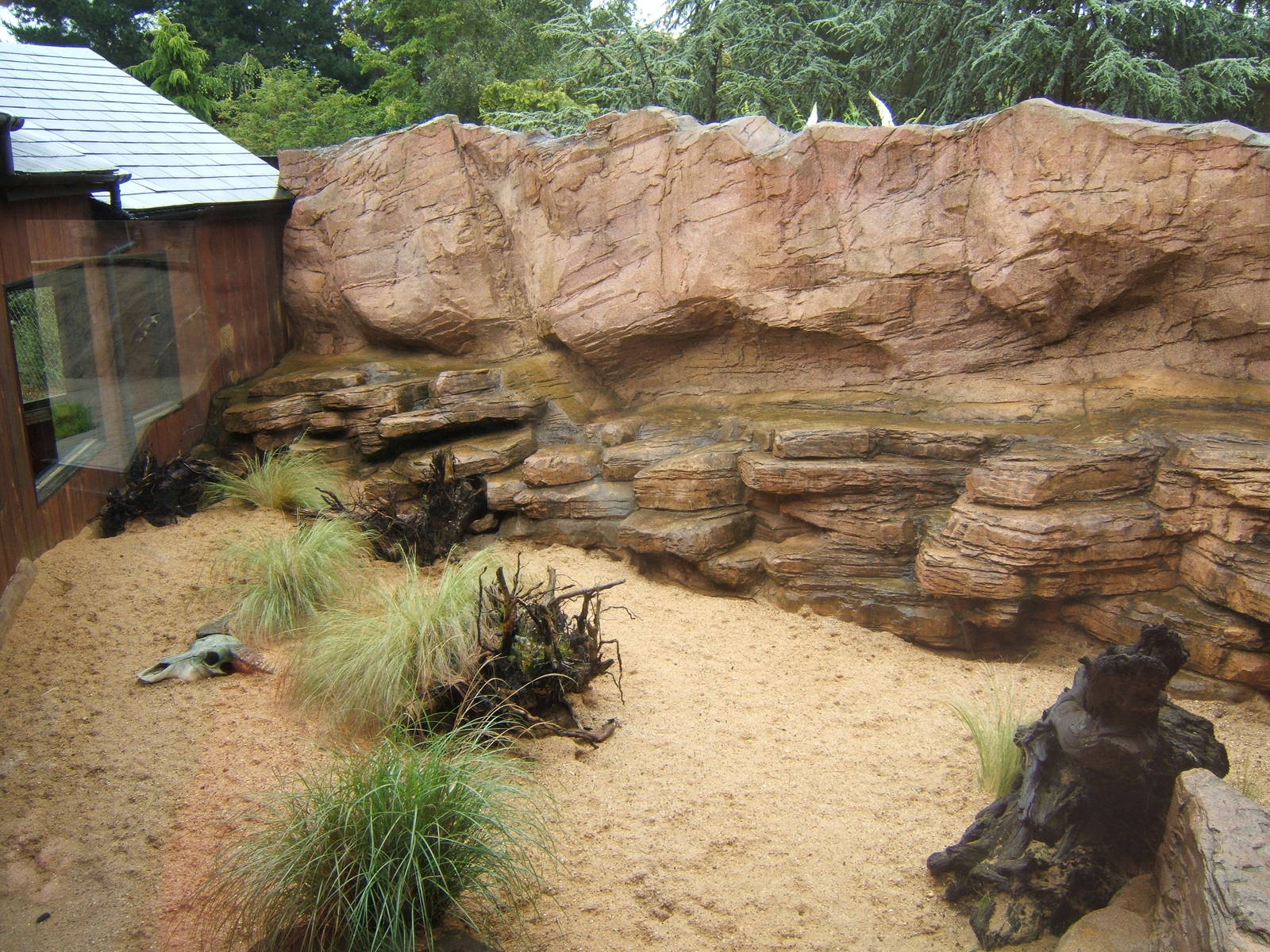 View of outdoor Fennec Fox enclosure