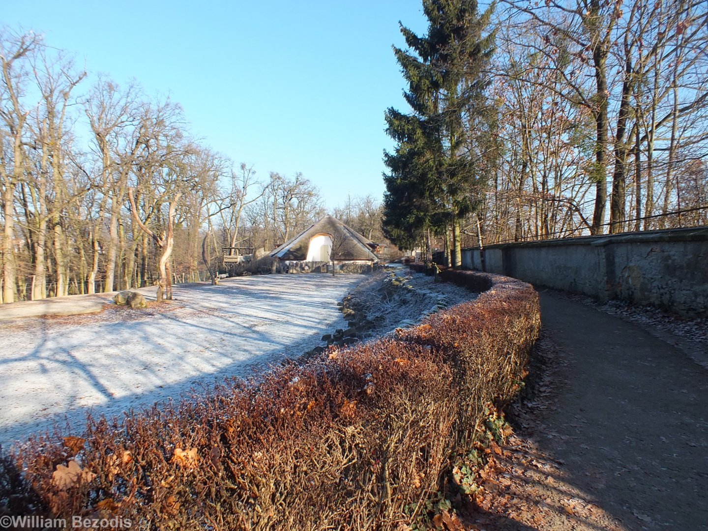 View of Outdoor Giraffe Mixed Enclosure and Giraffe House