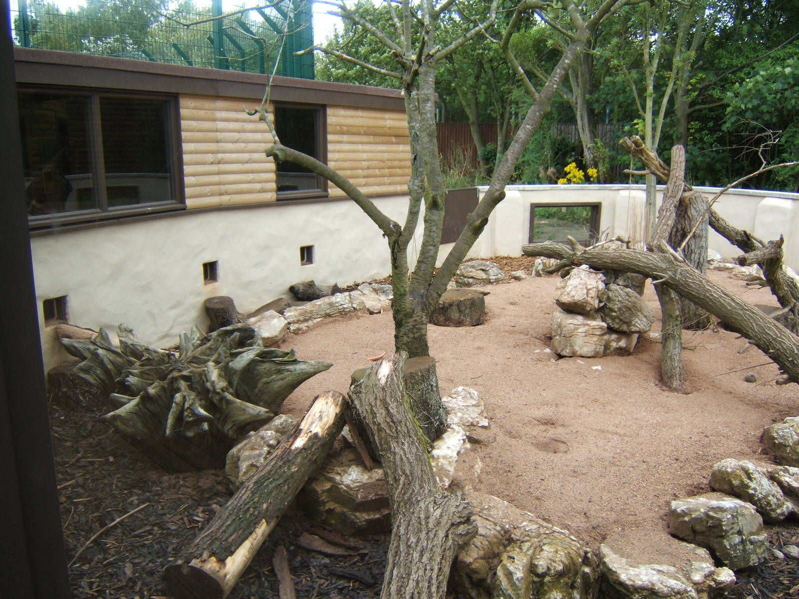 View of outdoor of the Meerkat exhibit