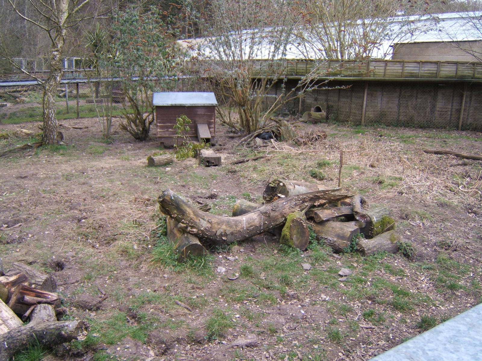 View of outdoor Otter Enclosure