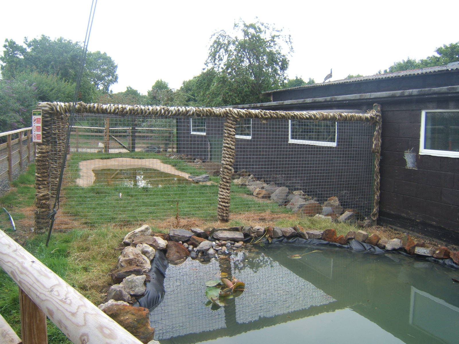 View of outdoor turtle and Caiman enclosures