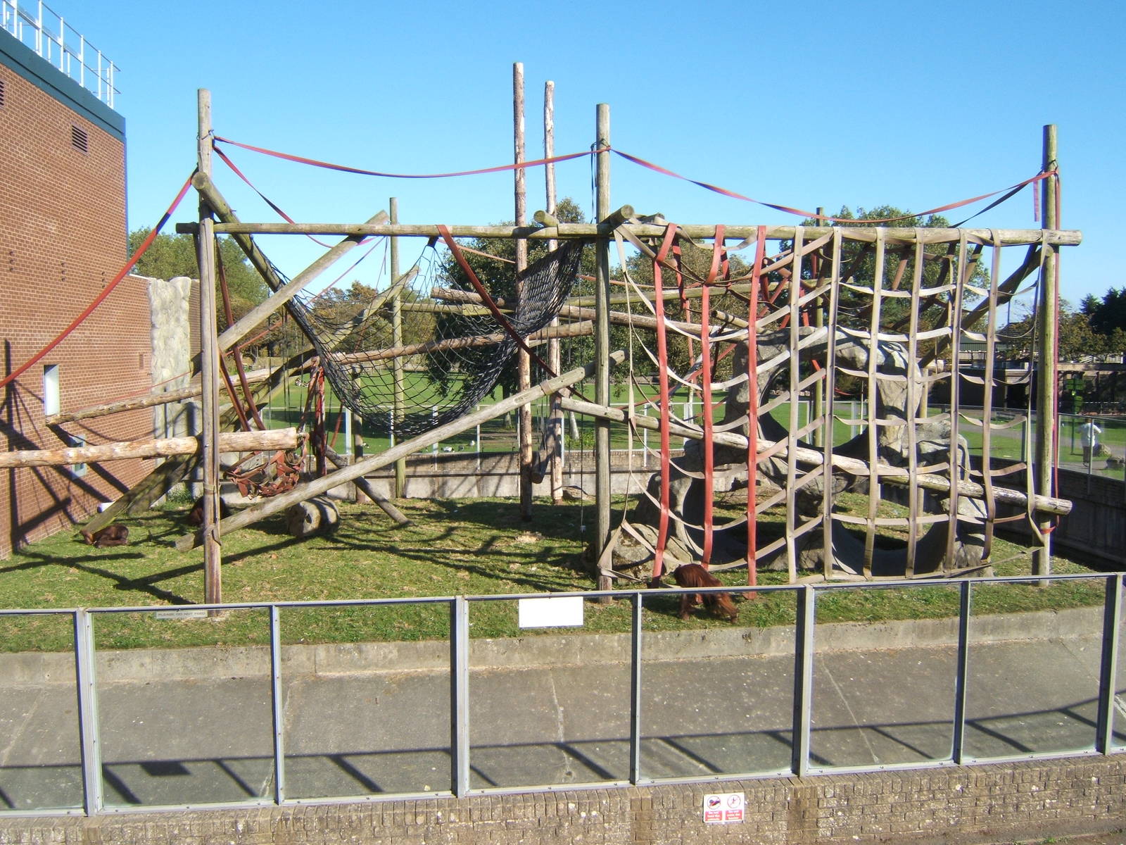 View of outside Orang enclosure