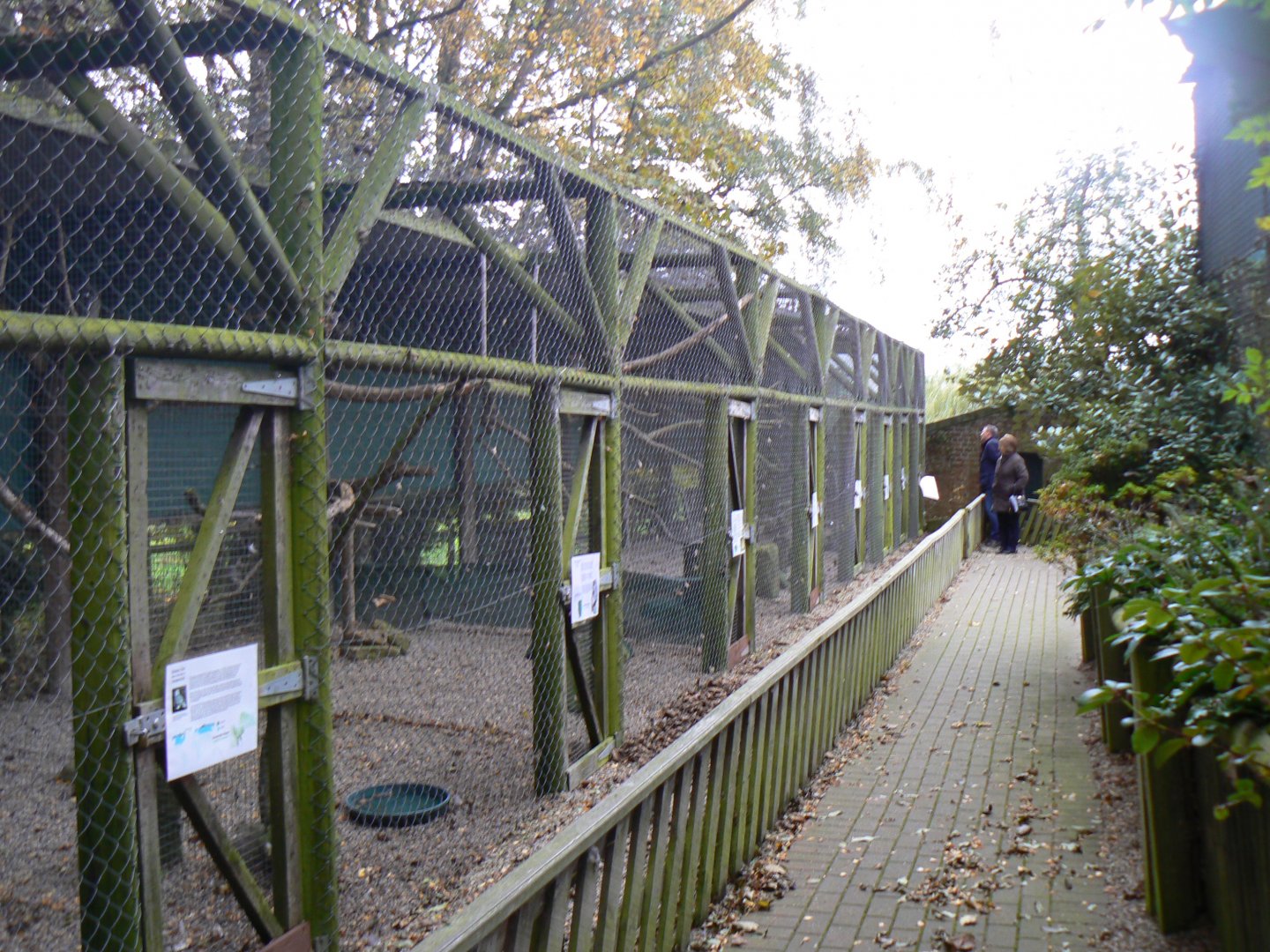 View of Owl Aviaries - 27 October 2016