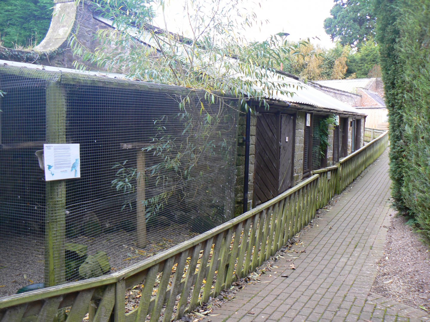 View of Owl Aviaries - 27 October 2016