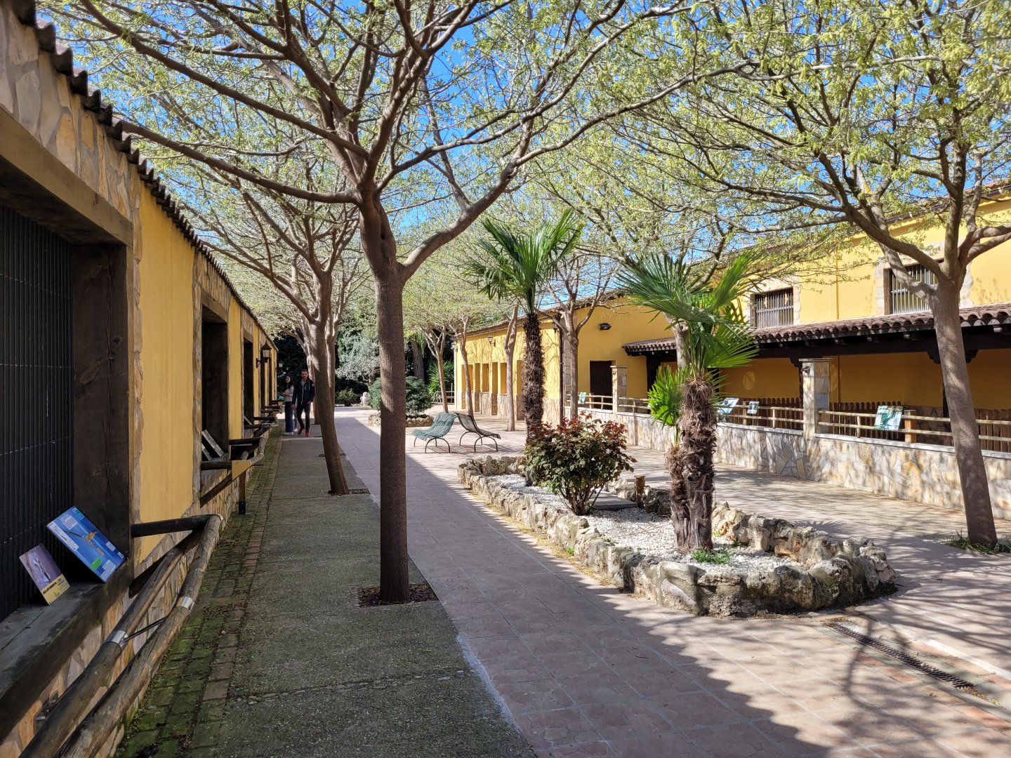 View of owl aviaries and big raptor perches -Tierra Rapaz (2024)