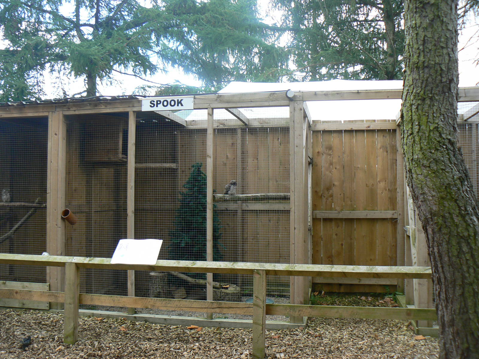 View of Owl Aviaries
