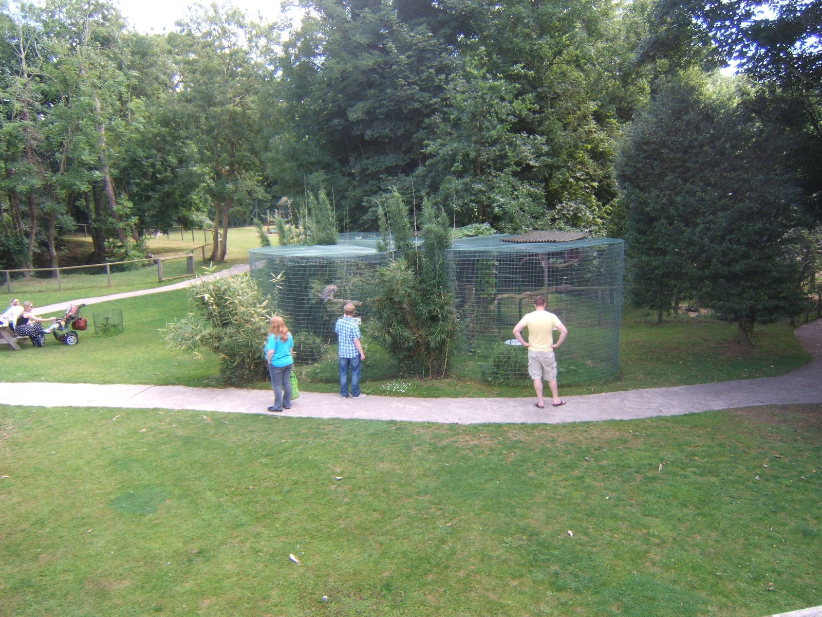 View of Owl Aviary from the ramp to the Tropical House