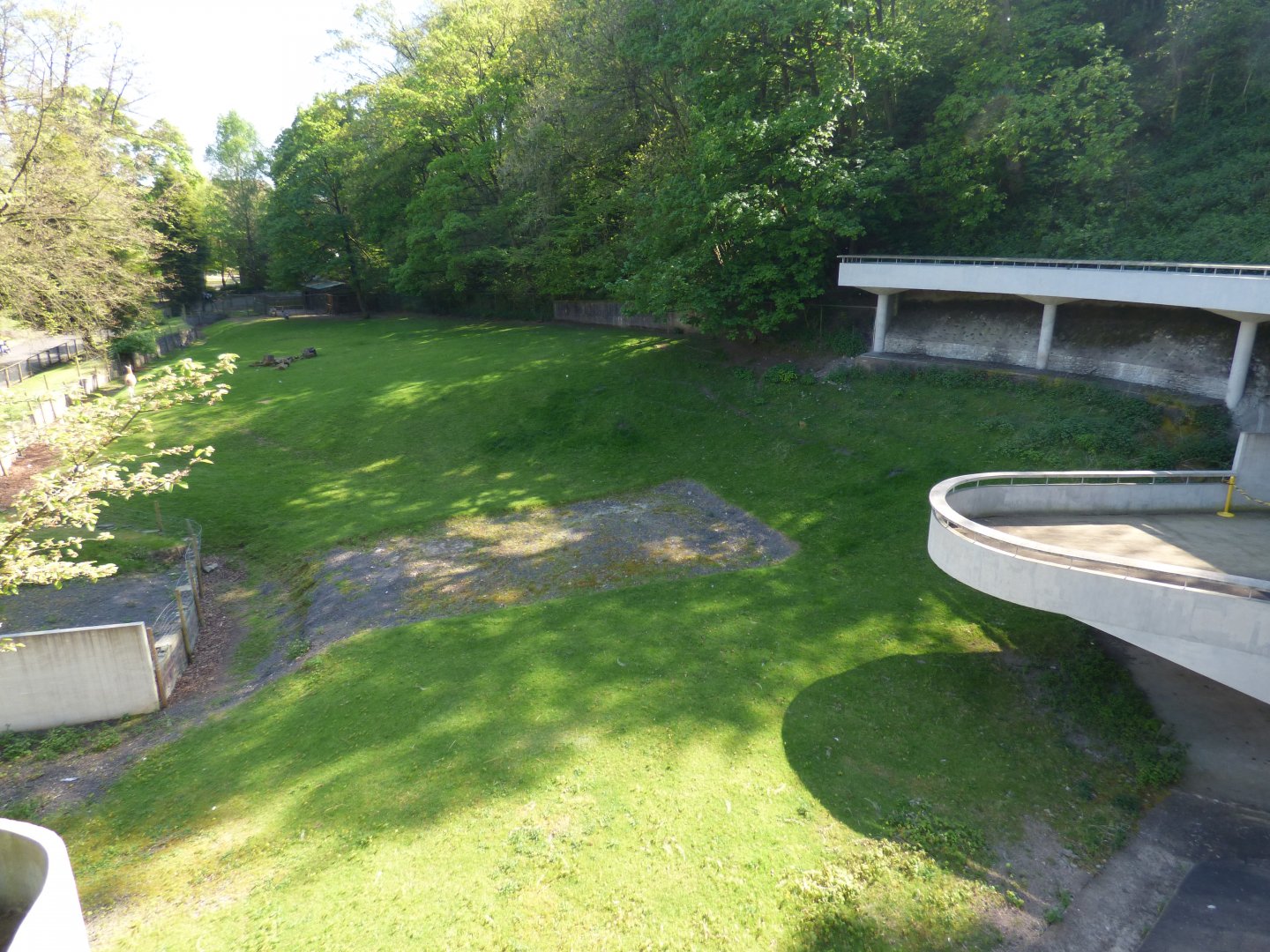 View of Paddock from Bear Ravine