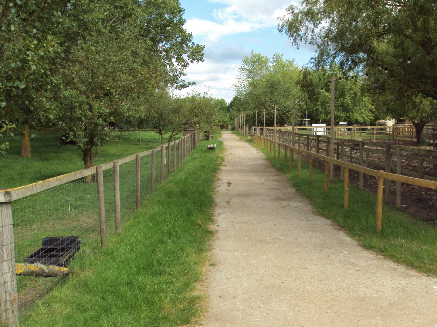 View of paddocks 28/05/2019