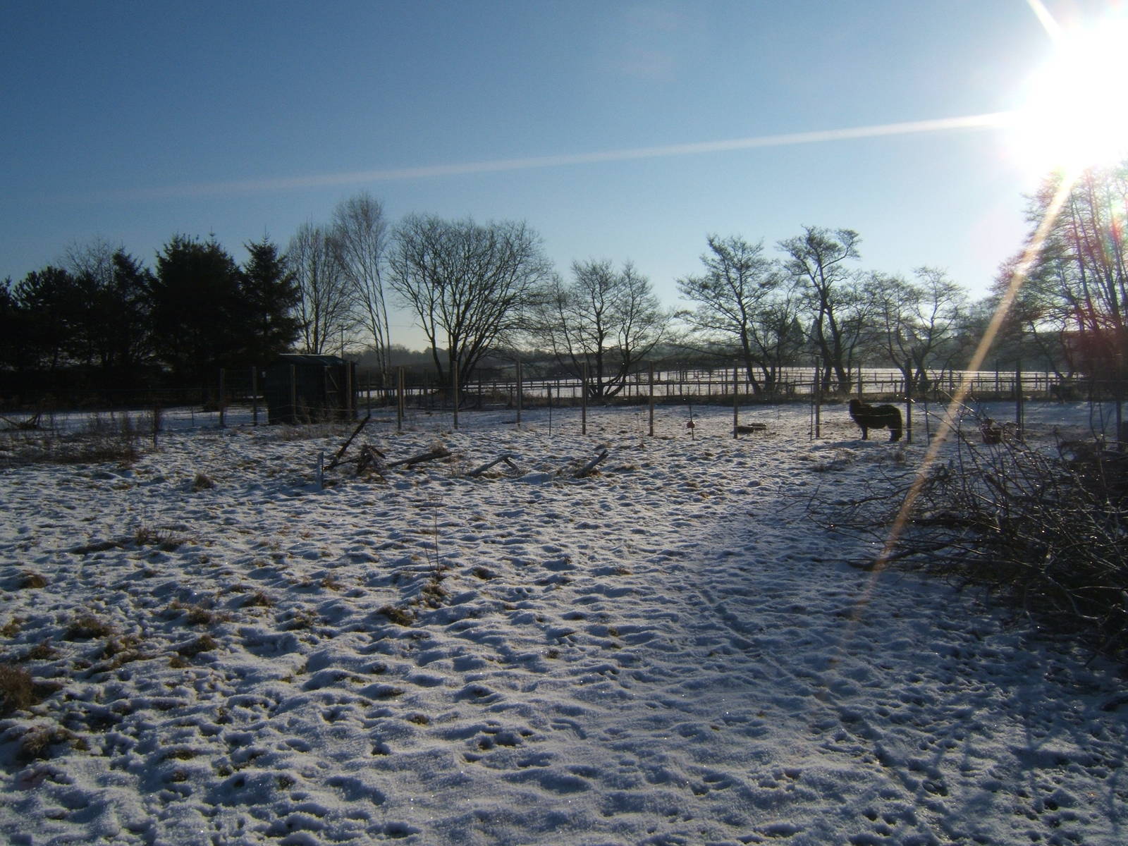View of Paddocks out the back
