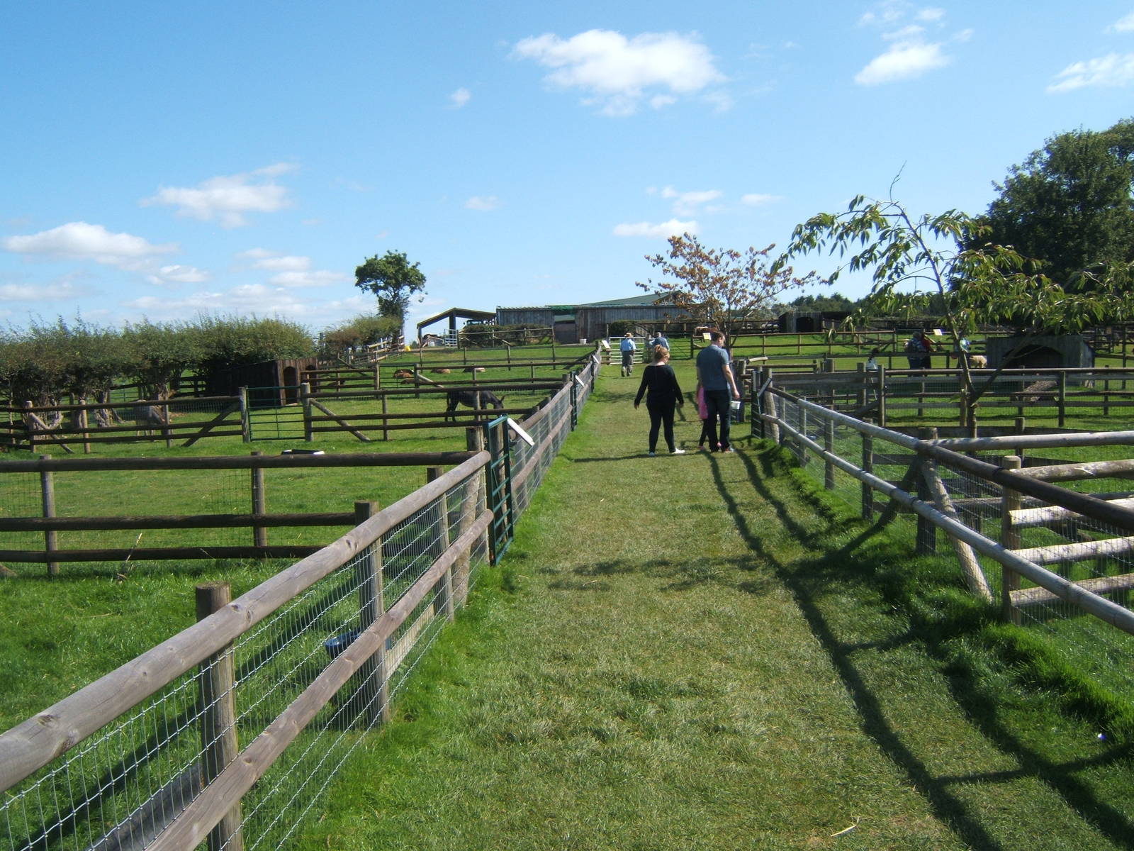 View of paddocks