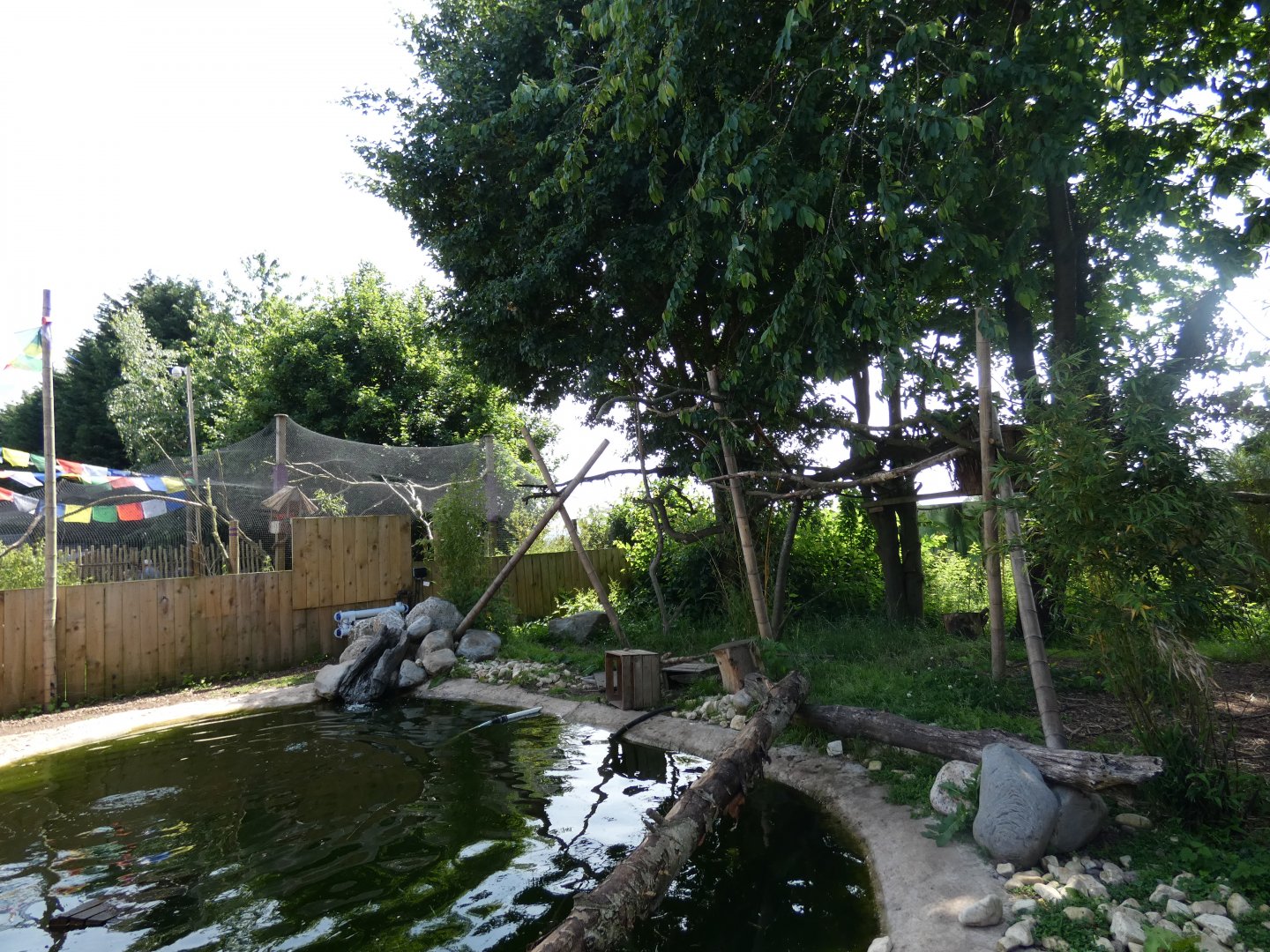 View of Palawan binturong, Asian-short clawed otters and Asian palm civet exhibit in 'Wild Asia'